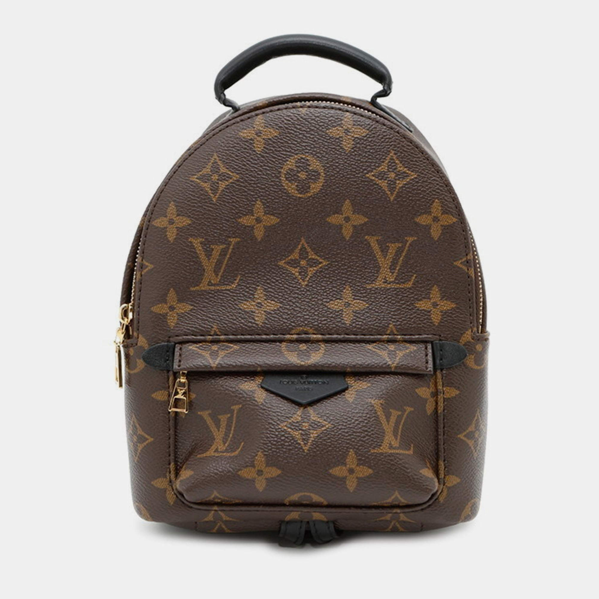 Pre Owned Louis Vuitton Monogram Palm Springs Backpack Mini