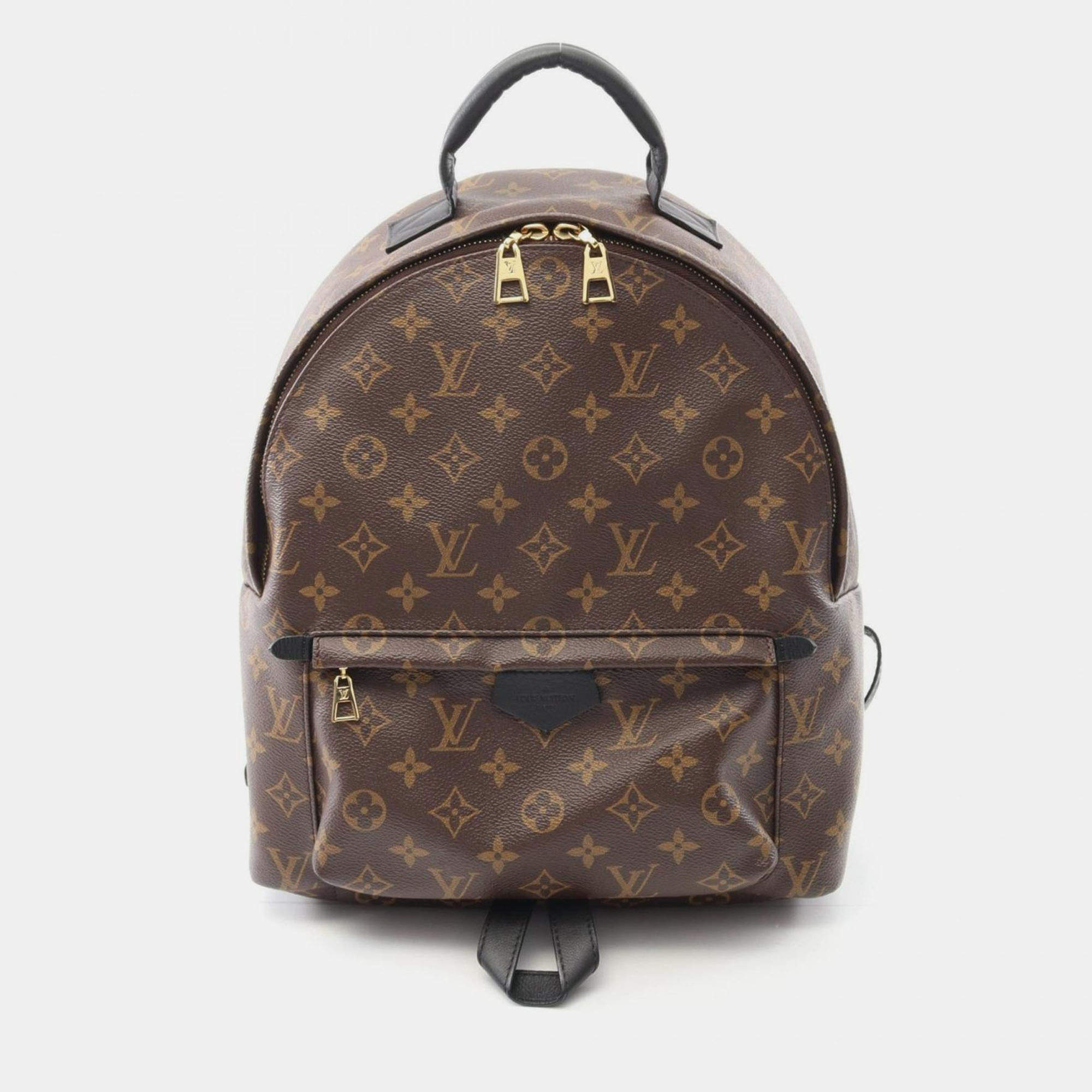 Pre Owned Louis Vuitton Palm Springs Backpack Mm Coated Canvas And Leather Monogram Brown