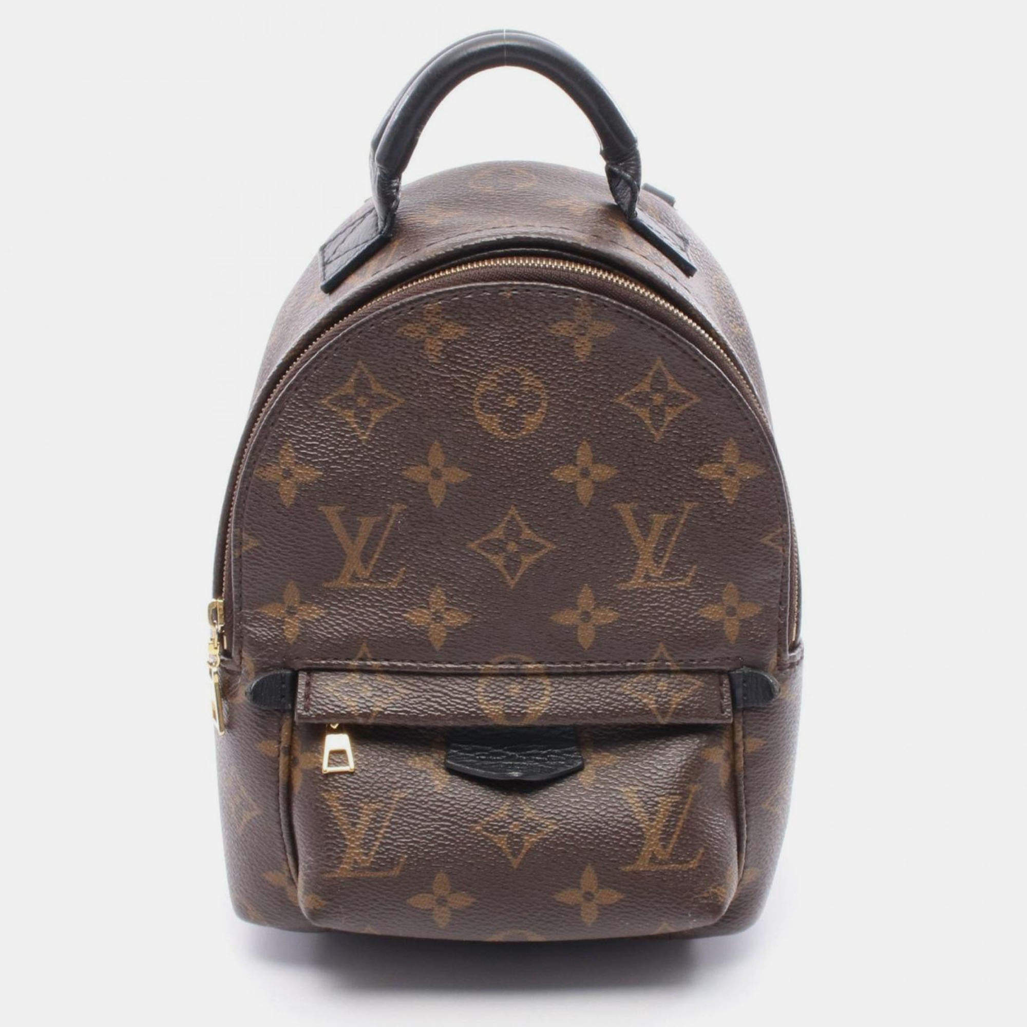 Pre Owned Louis Vuitton Palm Springs Mini Backpack Coated Canvas And Leather With Monogram Design Brown Black