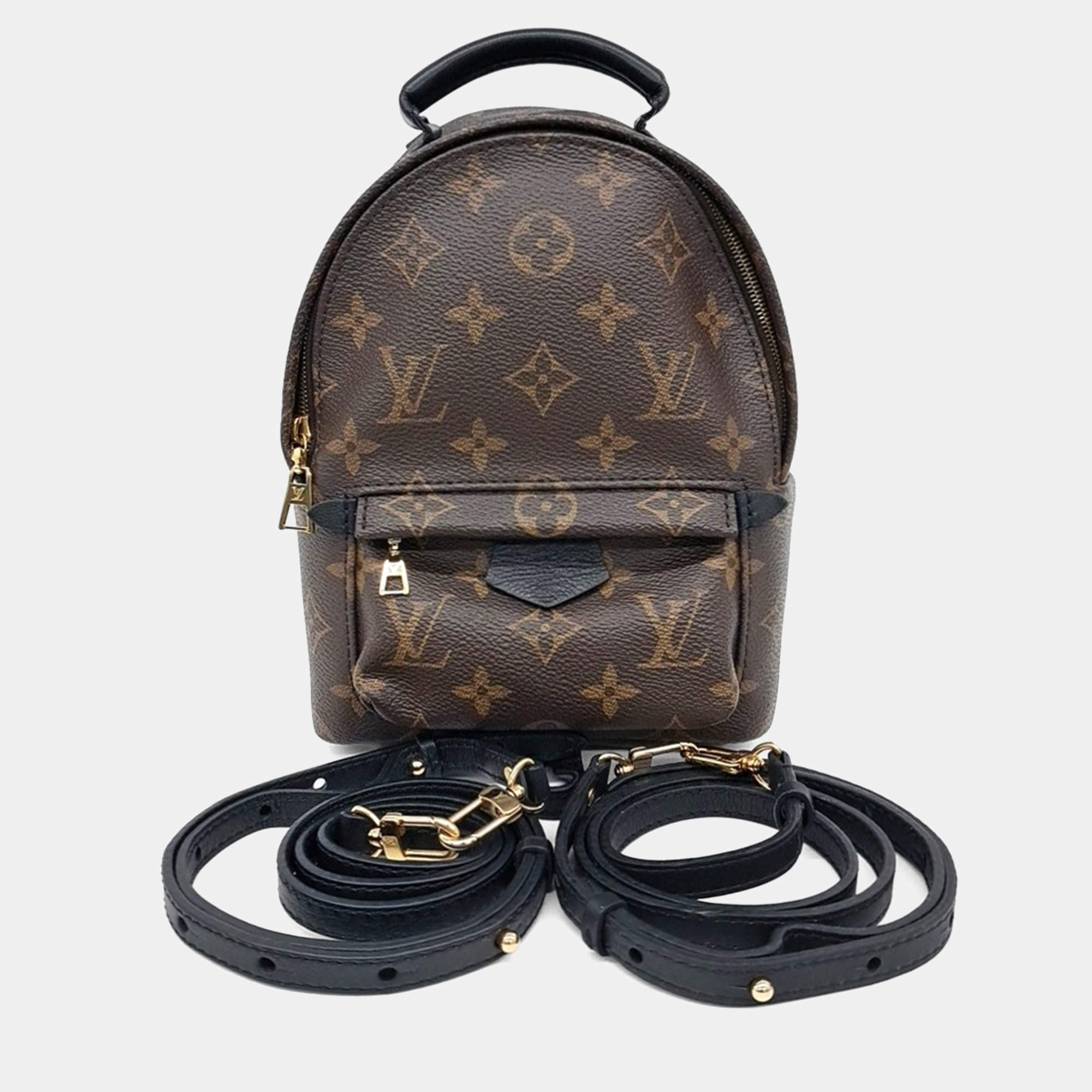 Pre Owned Louis Vuitton Palm Springs Backpack Mini
