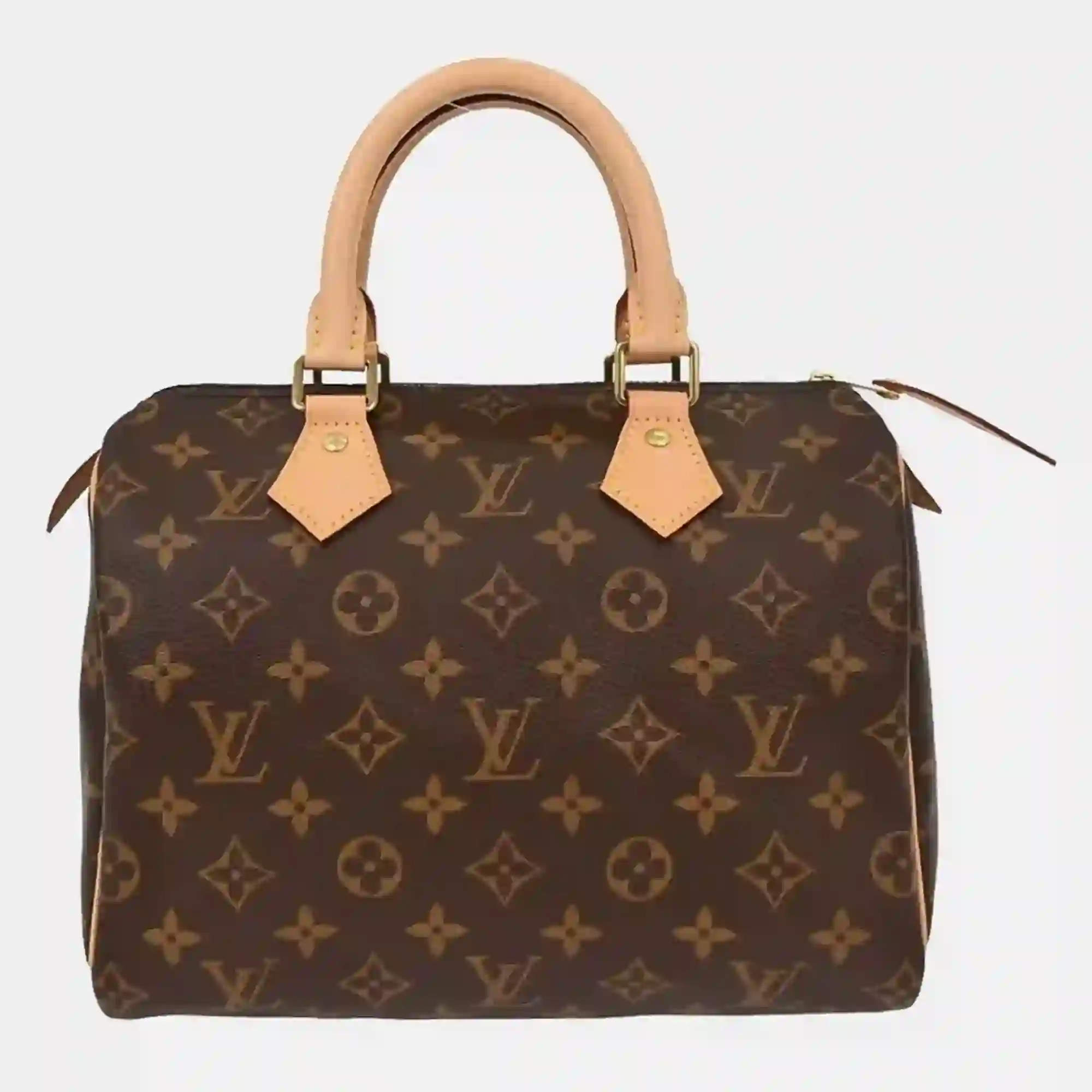 Pre Owned Louis Vuitton Monogram Speedy 25 Handbag