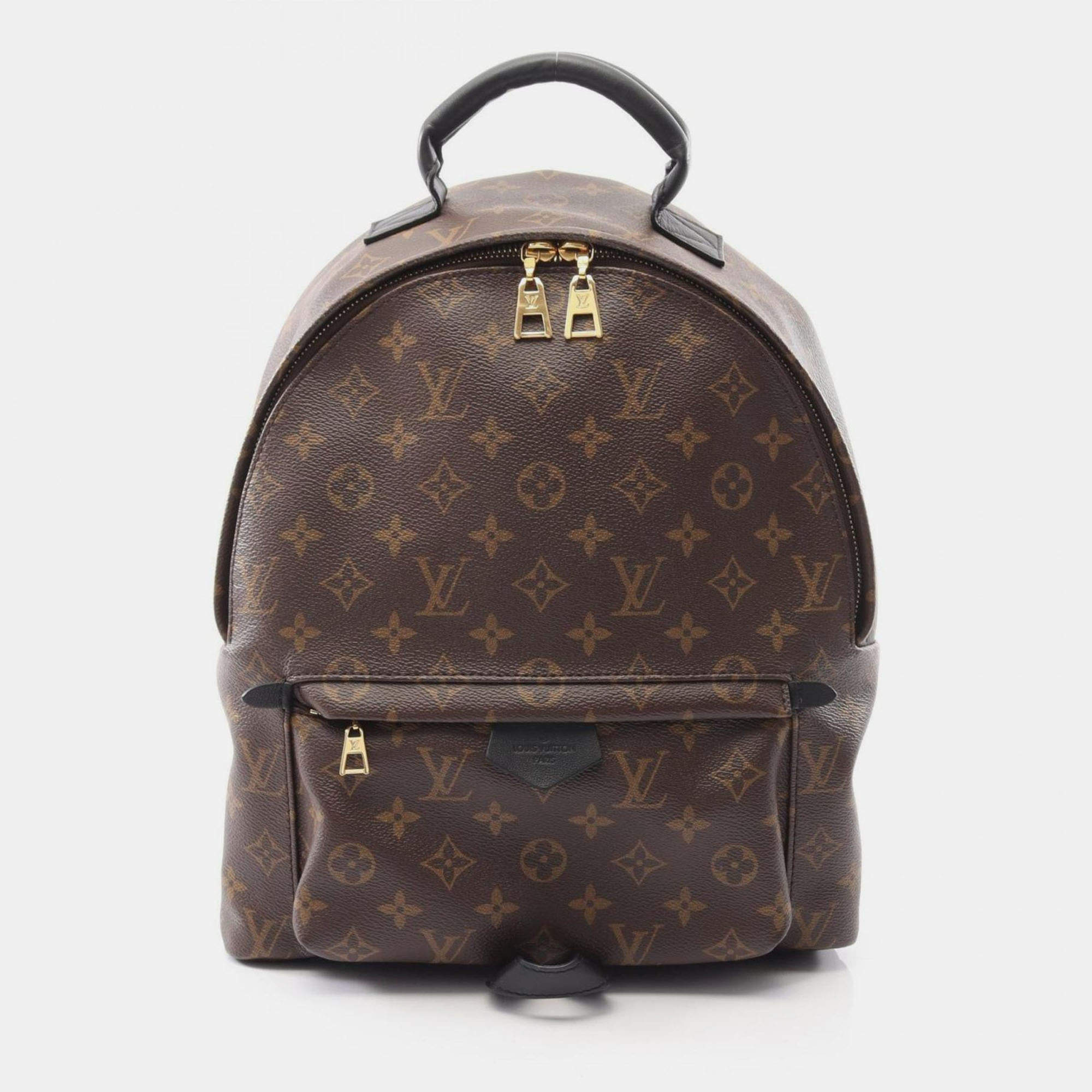 Pre Owned Louis Vuitton Palm Springs Backpack Mm Monogram Coated Canvas And Leather Backpack Brown