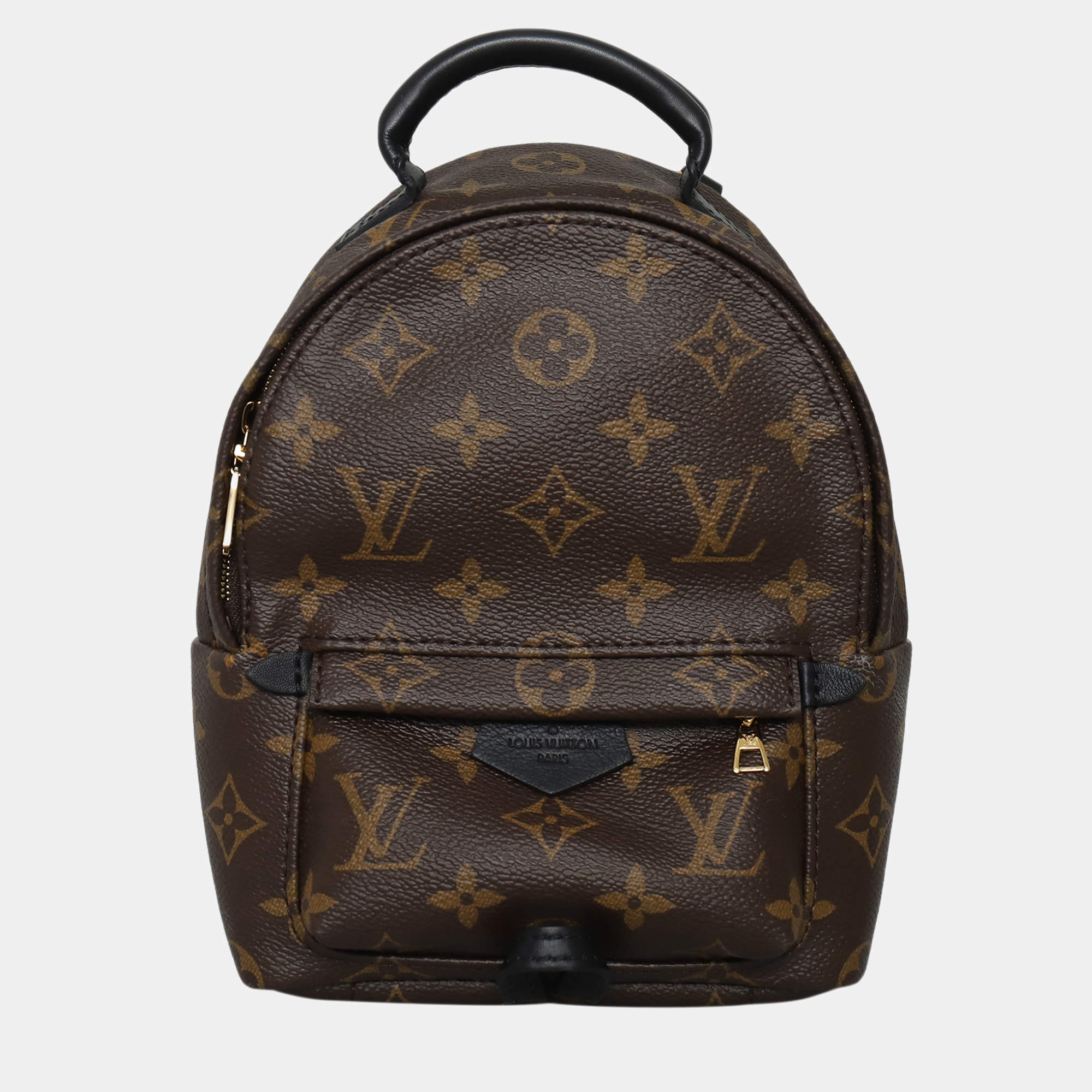 Pre Owned Louis Vuitton Brown Monogram Mini Palm Springs Backpack