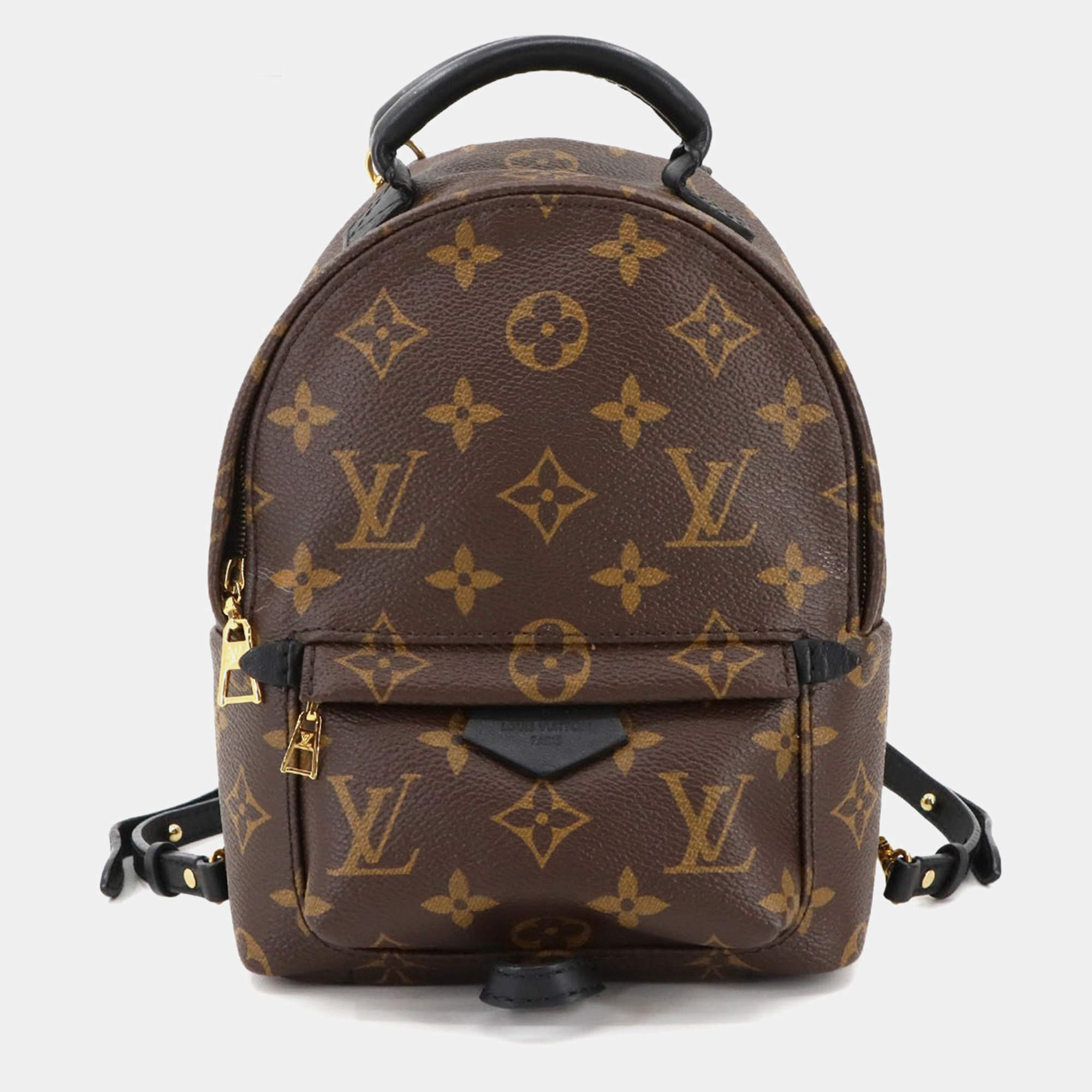 Pre Owned Louis Vuitton Palm Springs Mini Brown Monogram Canvas Backpack