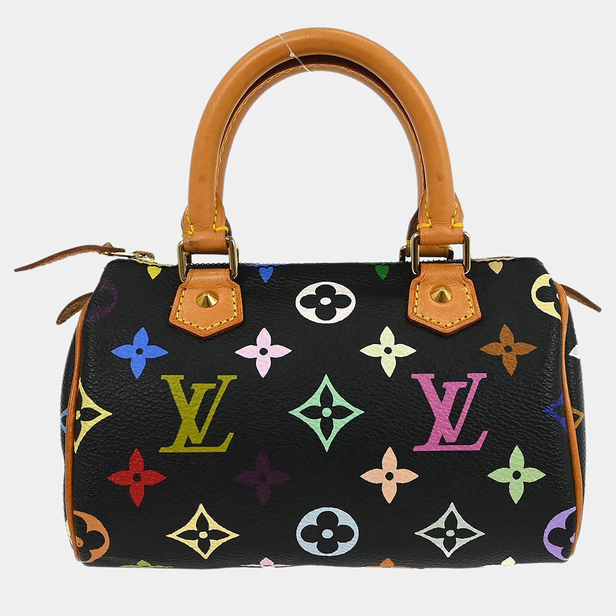Pre Owned Louis Vuitton Multicolor Mini Speedy Handbag