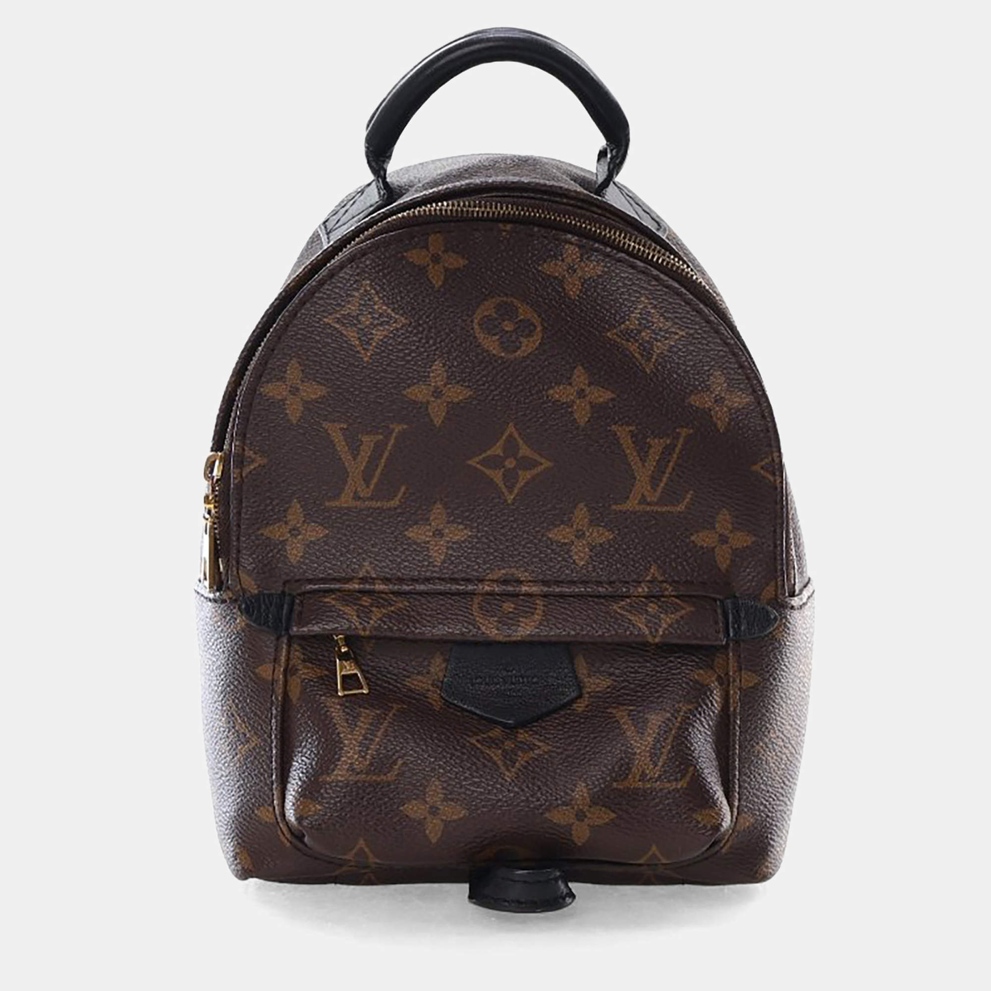Pre Owned Louis Vuitton Monogram Palm Springs Mini