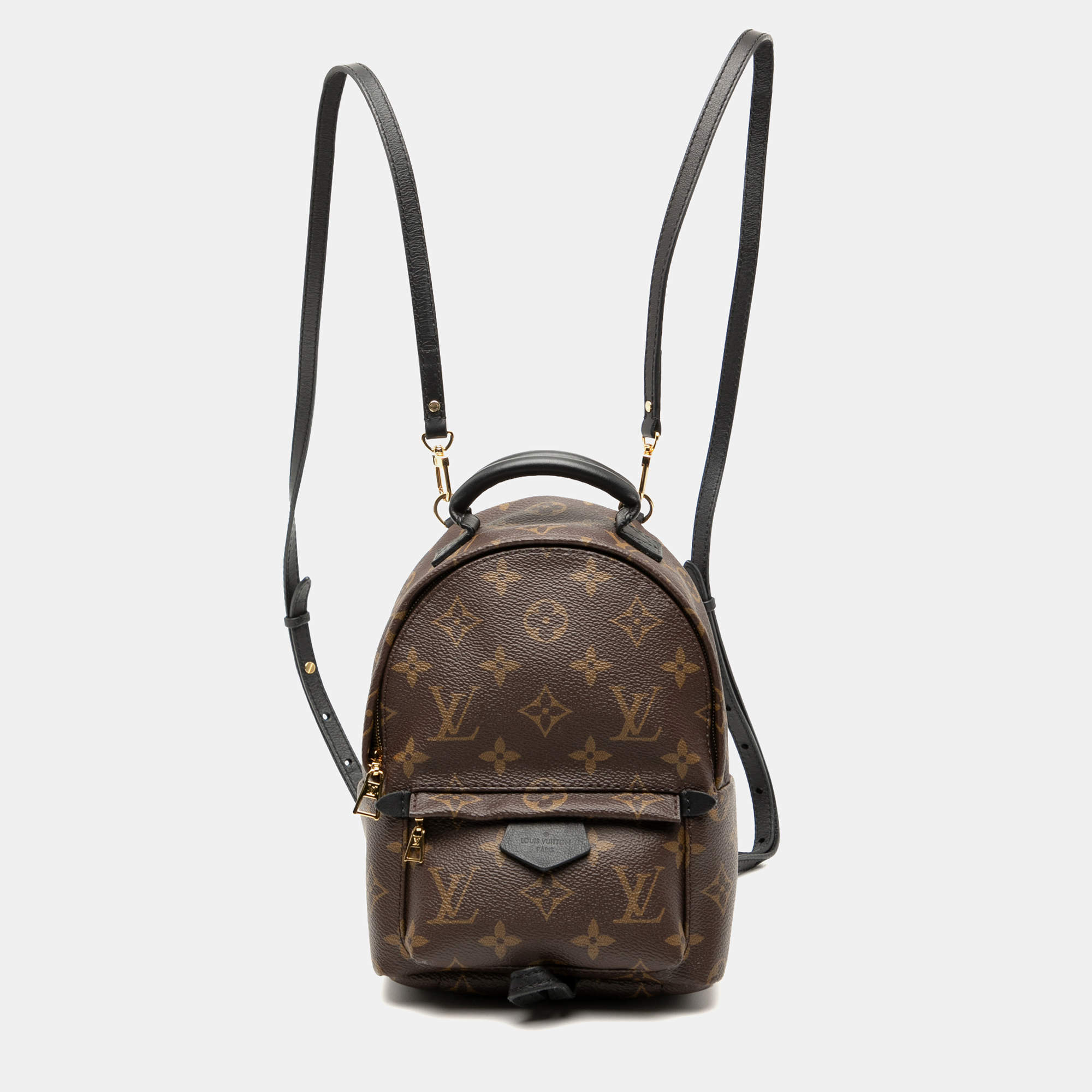 Pre Owned Louis Vuitton Brown Monogram Mini Palm Springs