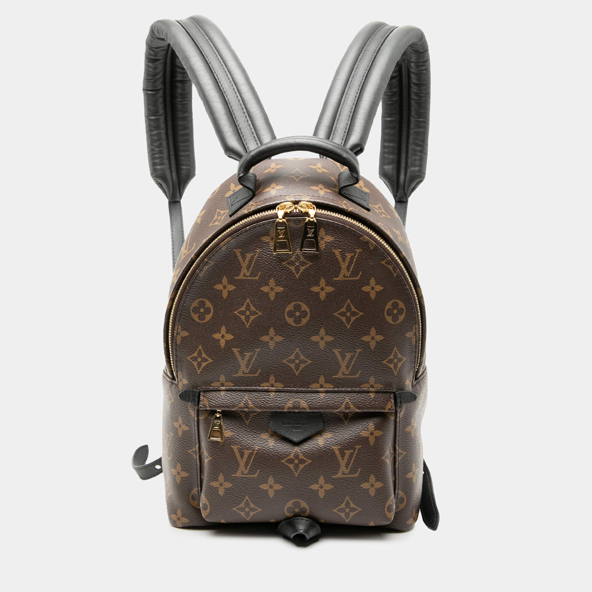 Pre Owned Louis Vuitton Brown Monogram Palm Springs PM