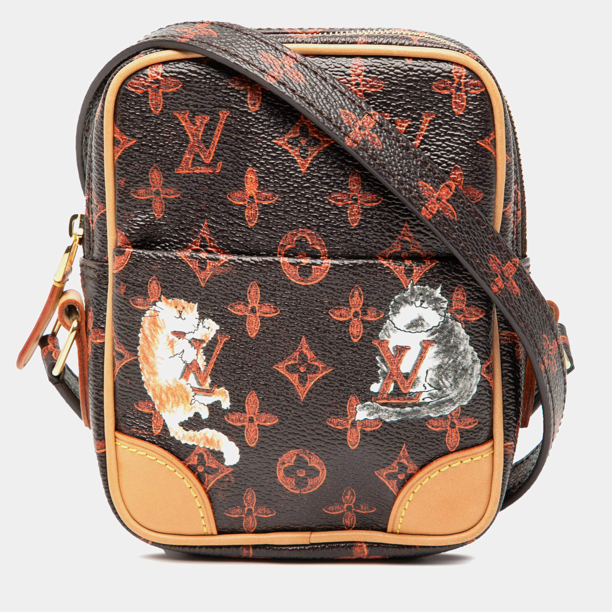 مملوكة مسبقًا Louis Vuitton Brown Grace Coddington Catogram Paname PM