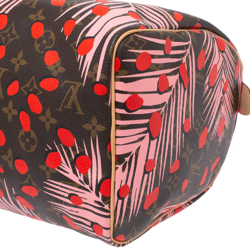 Louis Vuitton Speedy Handbag Limited Edition Monogram Jungle Dots 30 -  ShopStyle Satchels & Top Handle Bags