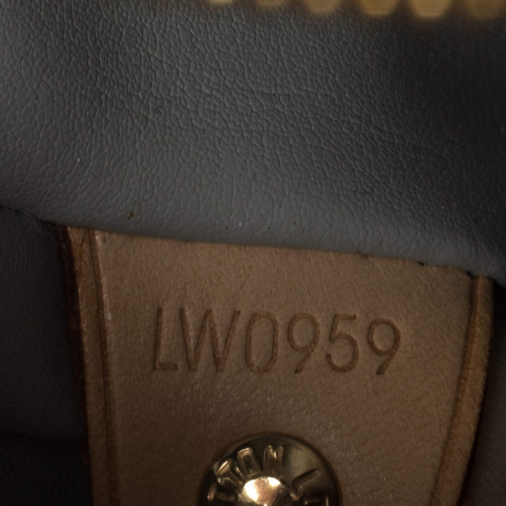 Louis Vuitton MInt Green Monogram Vernis Houston Bag at 1stDibs