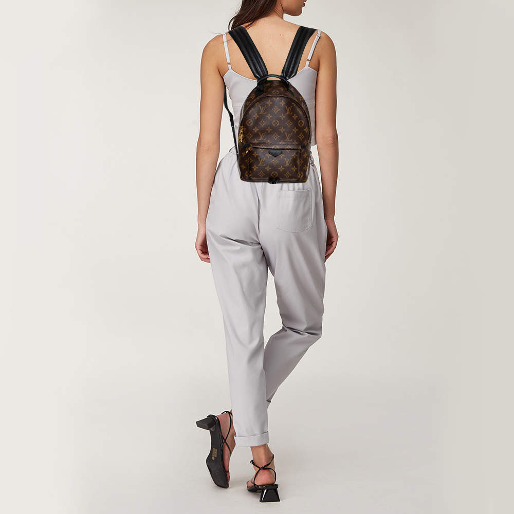 Louis Vuitton Palm Spring PM new zipper