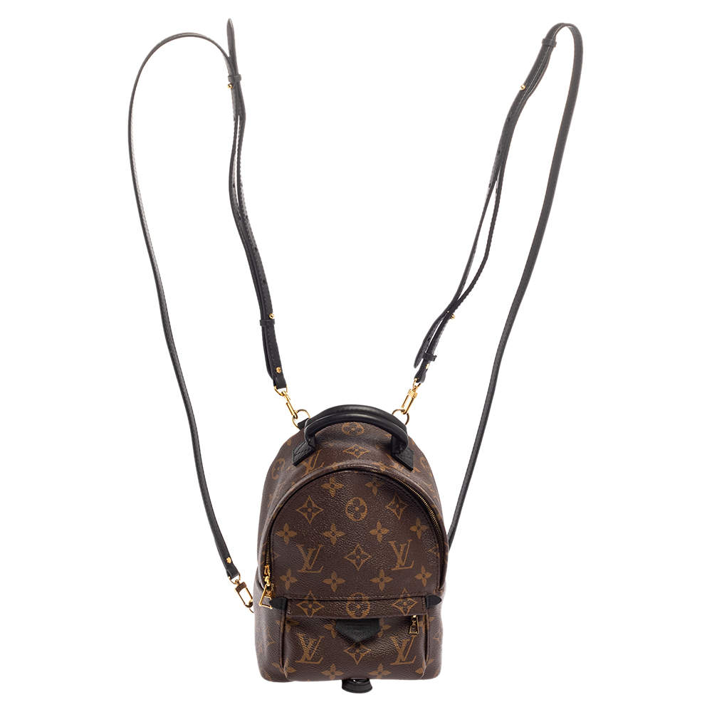 Pre Owned Louis Vuitton Monogram Canvas Mini Palm Springs Backpack