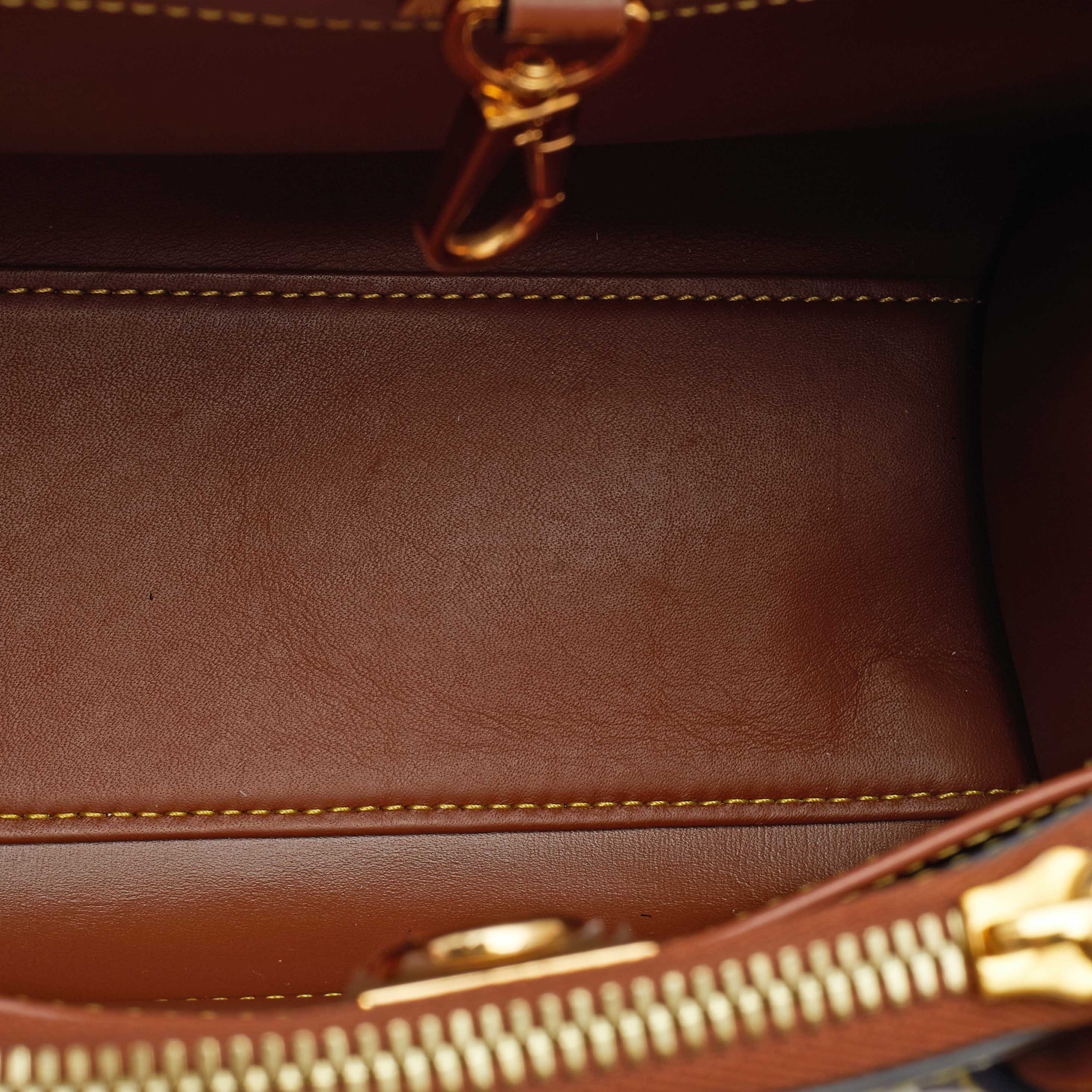 Louis Vuitton Multicolor City Steamer Mini Bag – The Closet