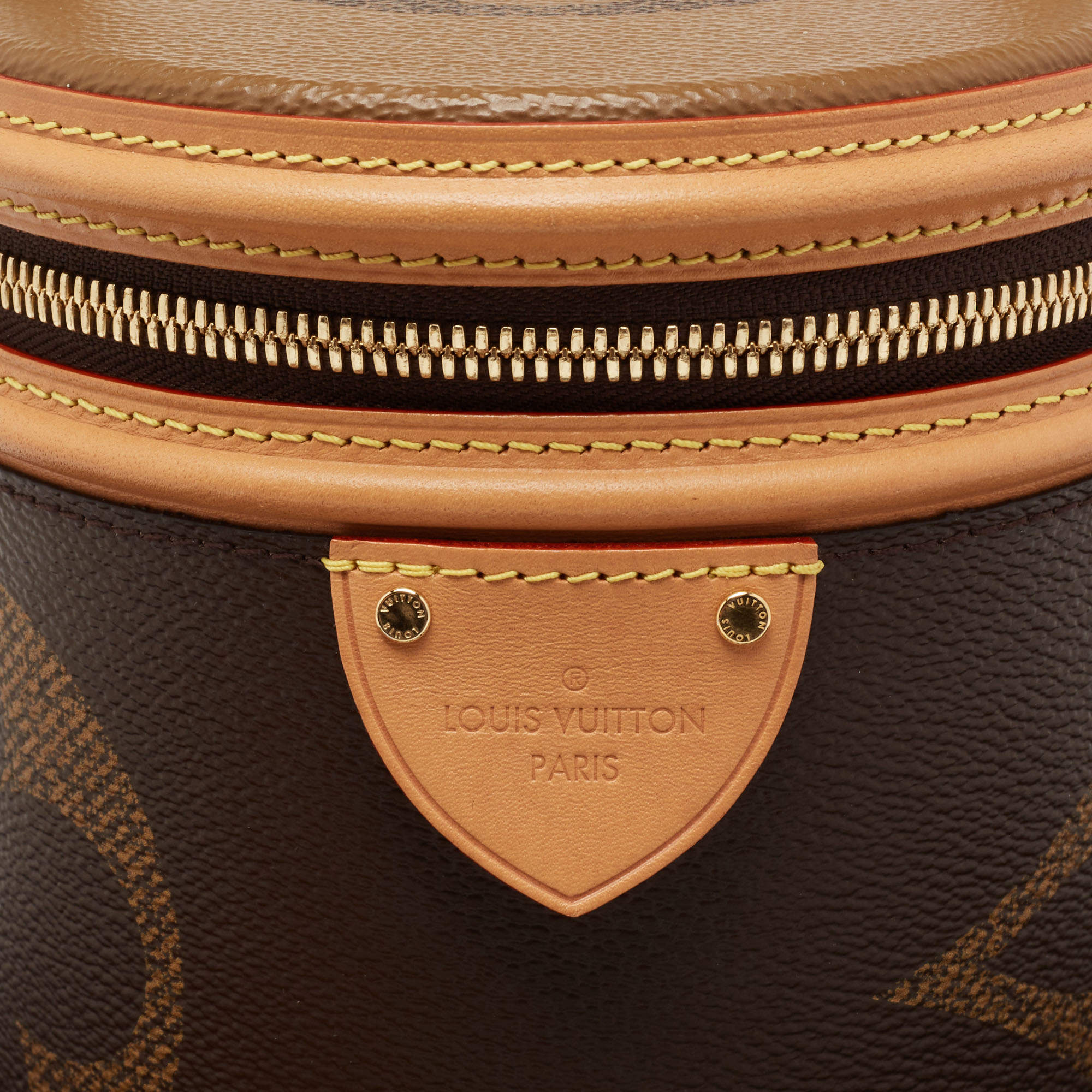 Cannes cloth handbag Louis Vuitton Brown in Cloth - 34263887