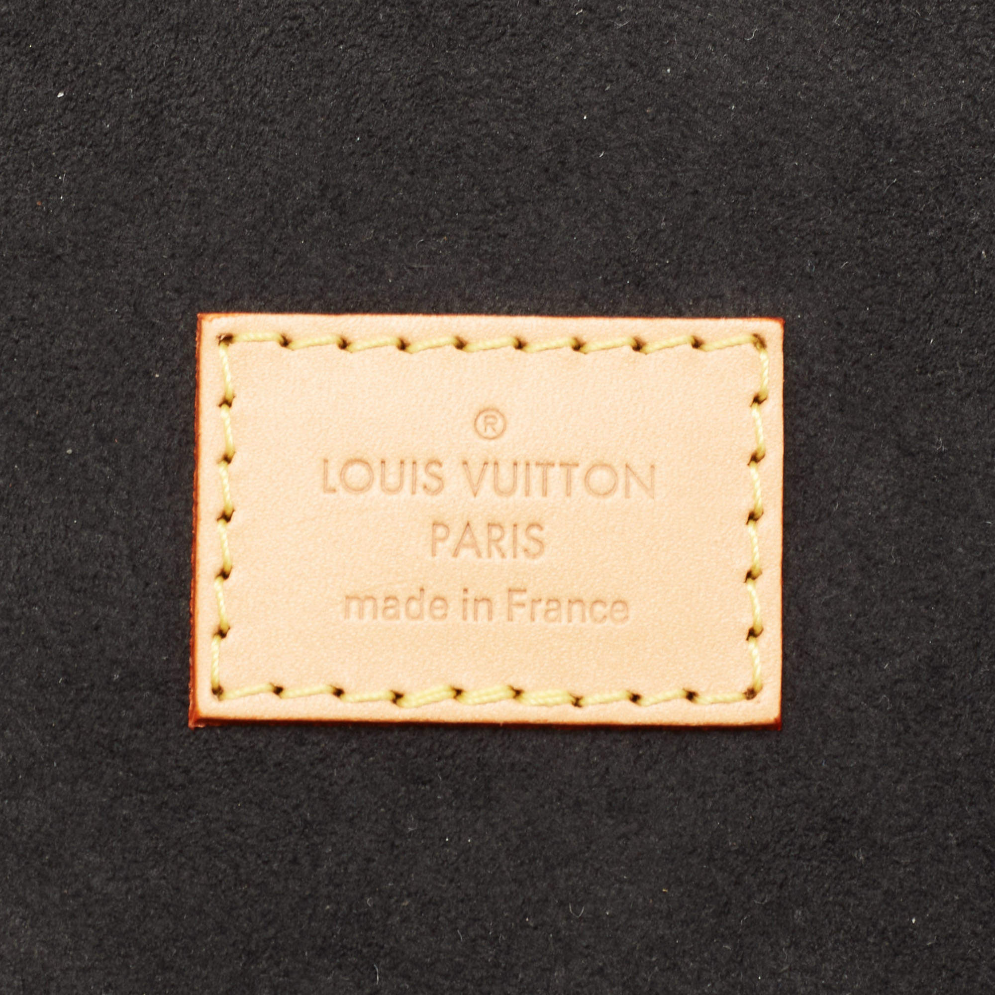 Cannes cloth handbag Louis Vuitton Brown in Cloth - 23636003