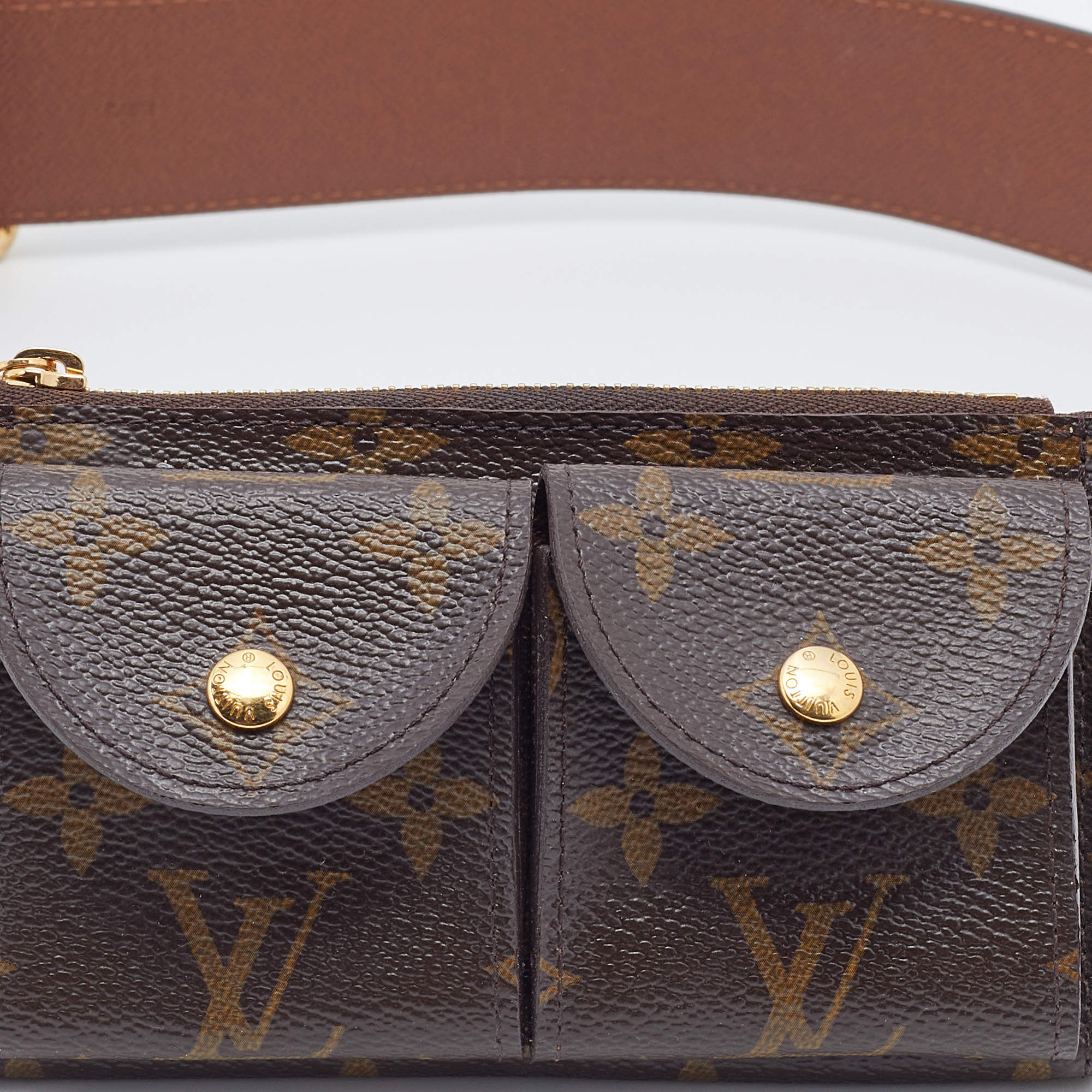 Louis Vuitton Brown Pochette Saint Tulle Duo Pouch Monogram Belt Bag