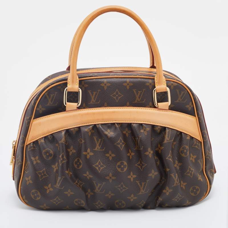 Pre Owned Louis Vuitton Monogram Canvas And Leather Mizi Bag