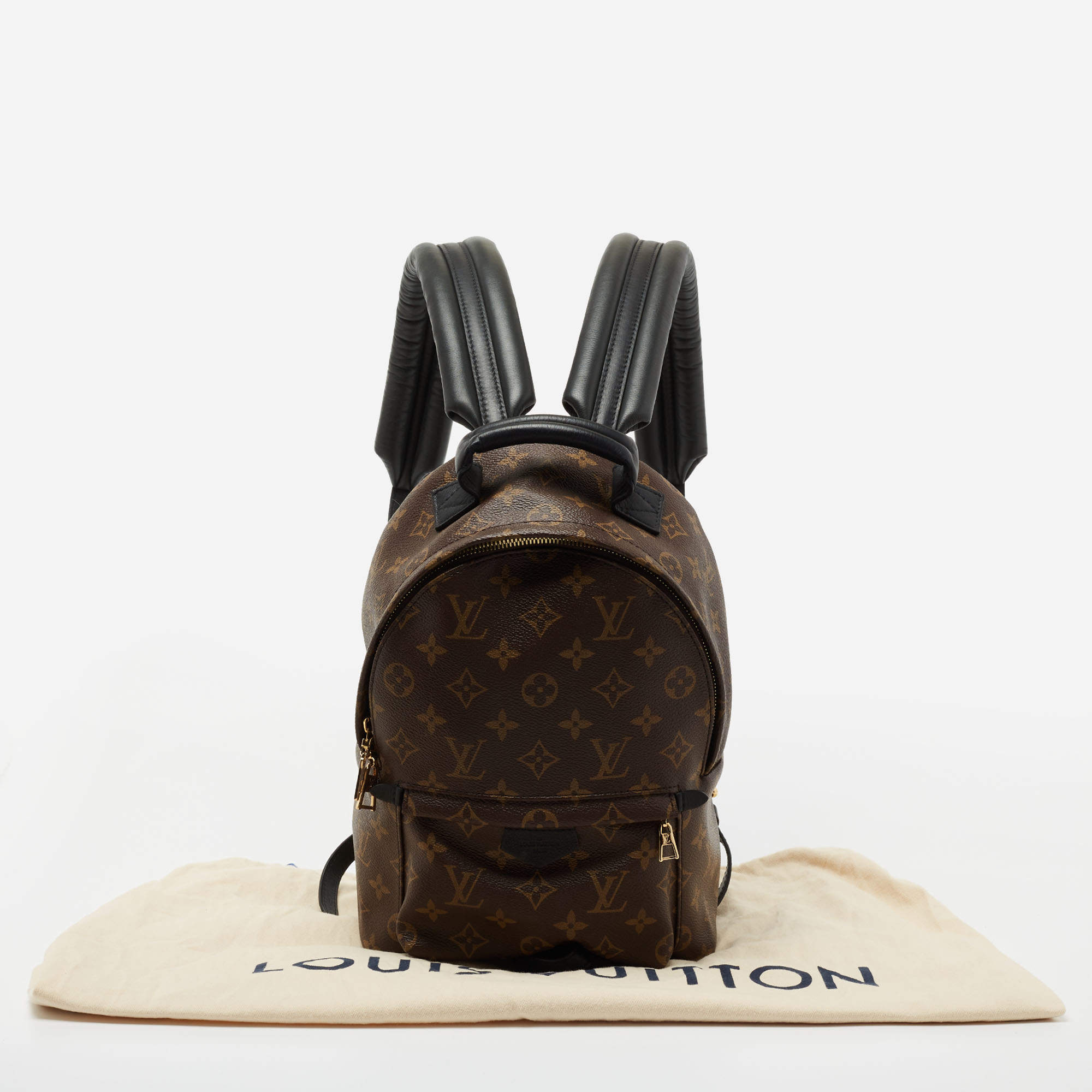 Louis Vuitton backpack new Palm Springs Brown Leather ref.163058