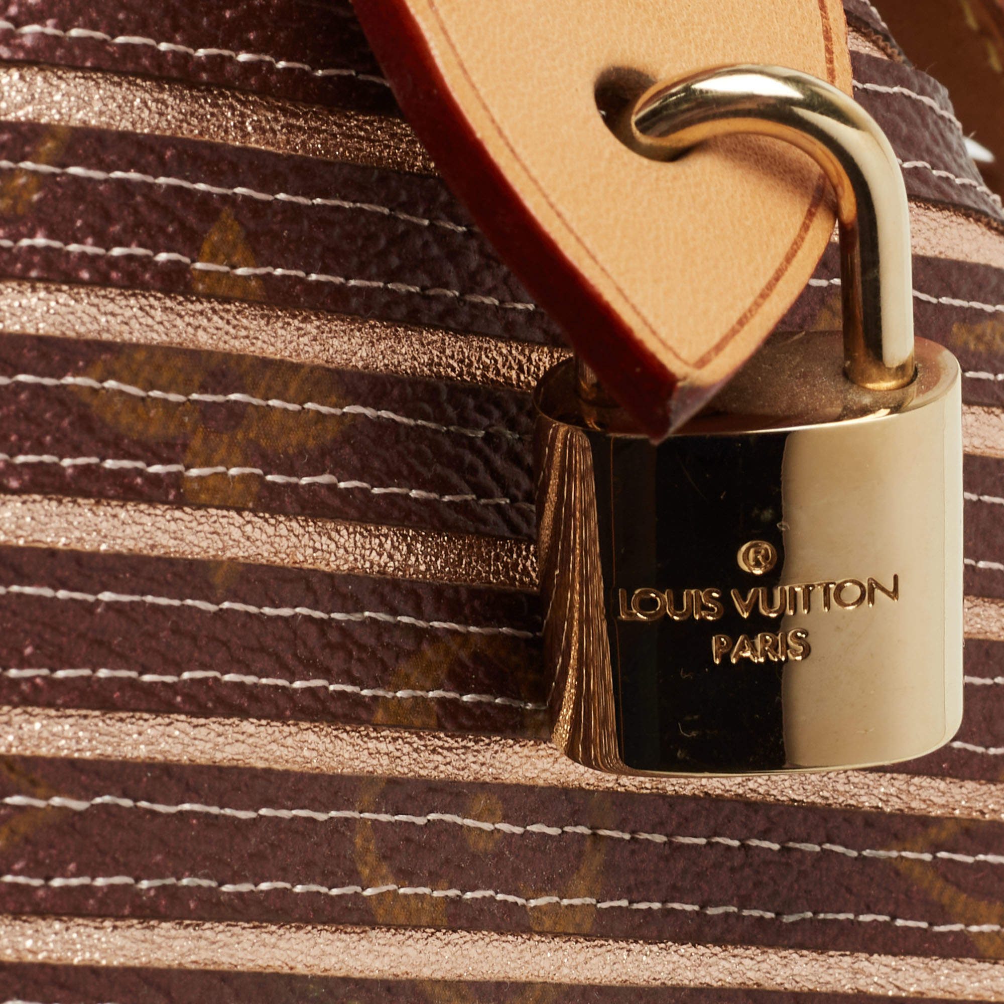 Louis Vuitton Speedy Limited Edition Neo Eden Peche Handbag