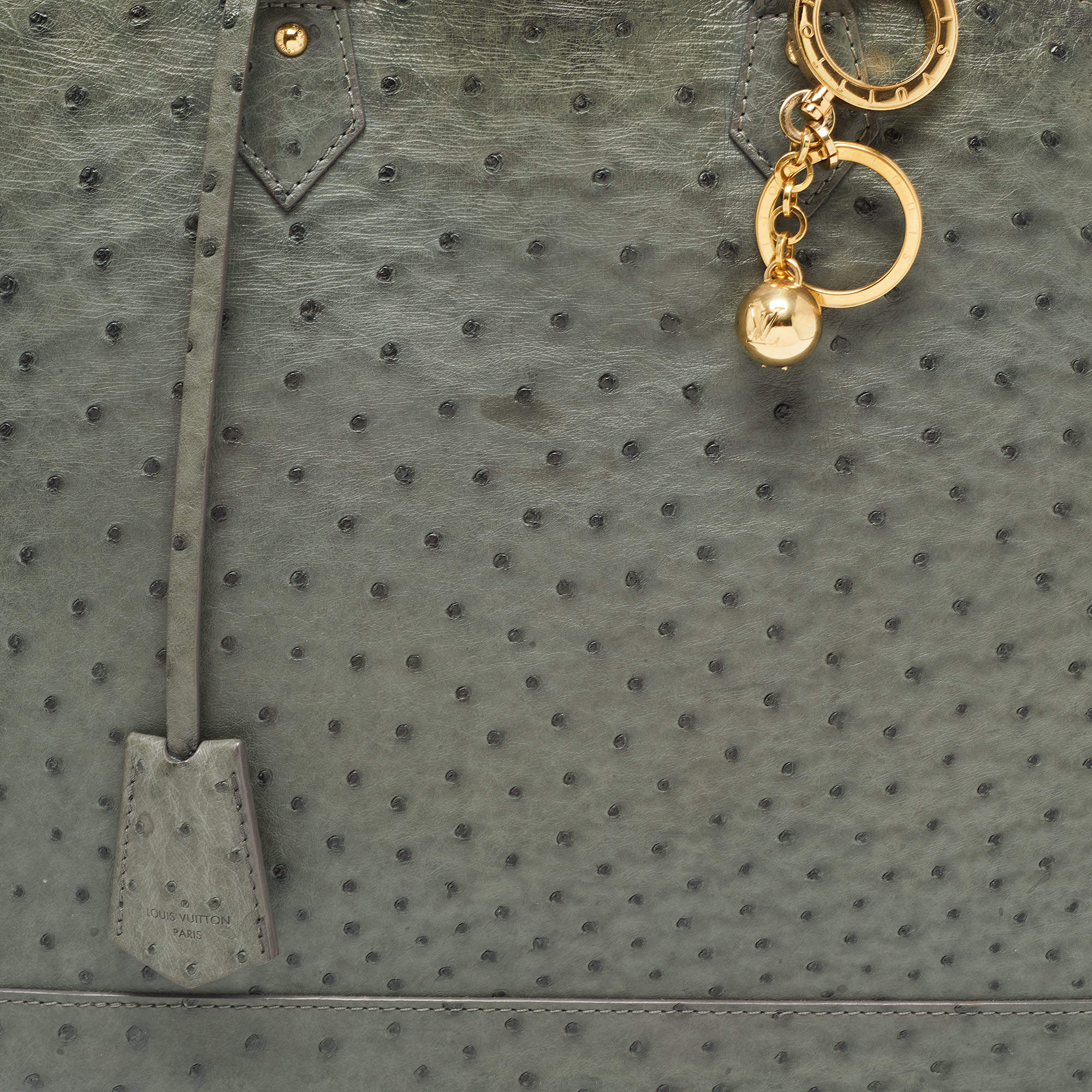 Louis Vuitton Grey Ostrich Alma GM Bag
