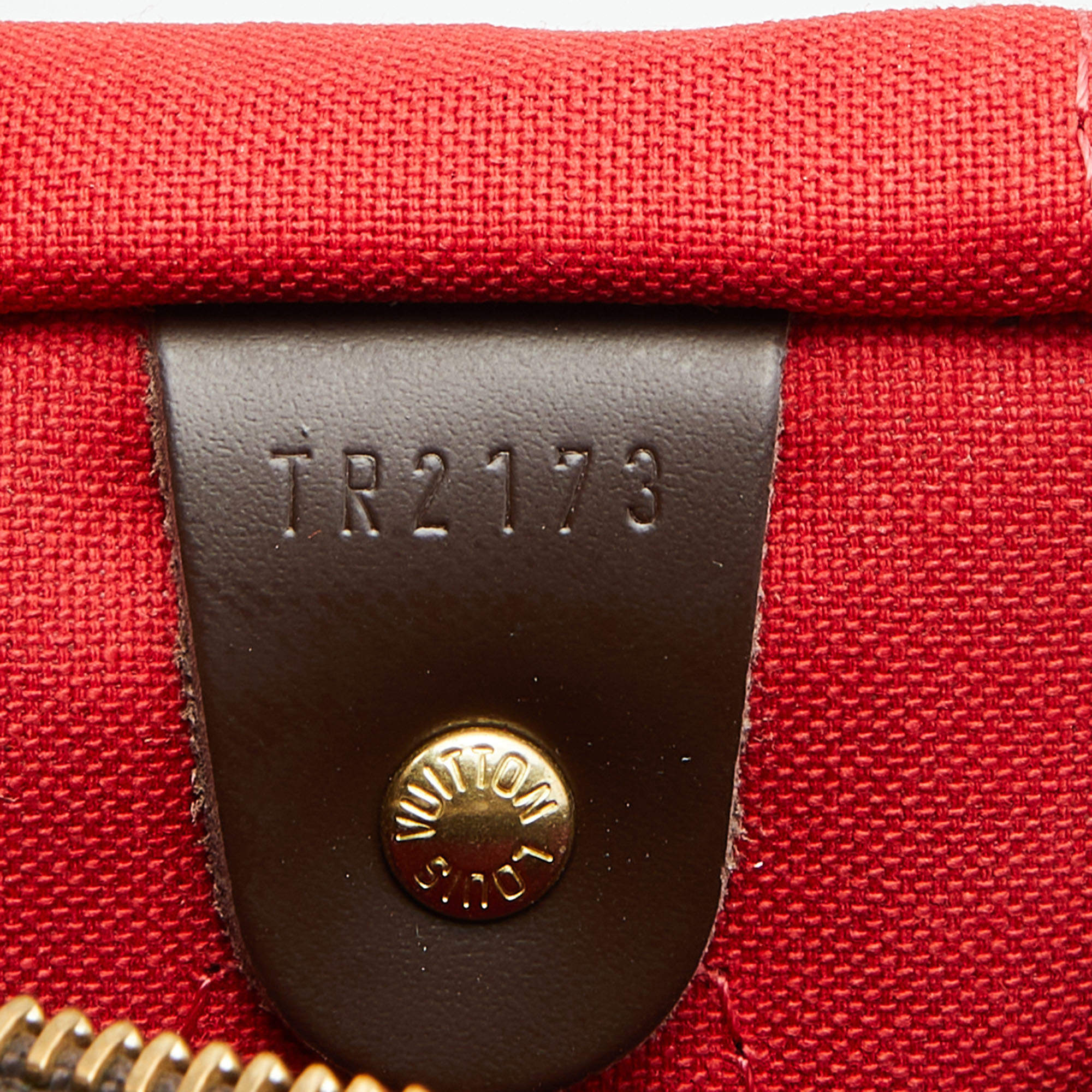 Speedy cloth handbag Louis Vuitton Brown in Cloth - 34399804