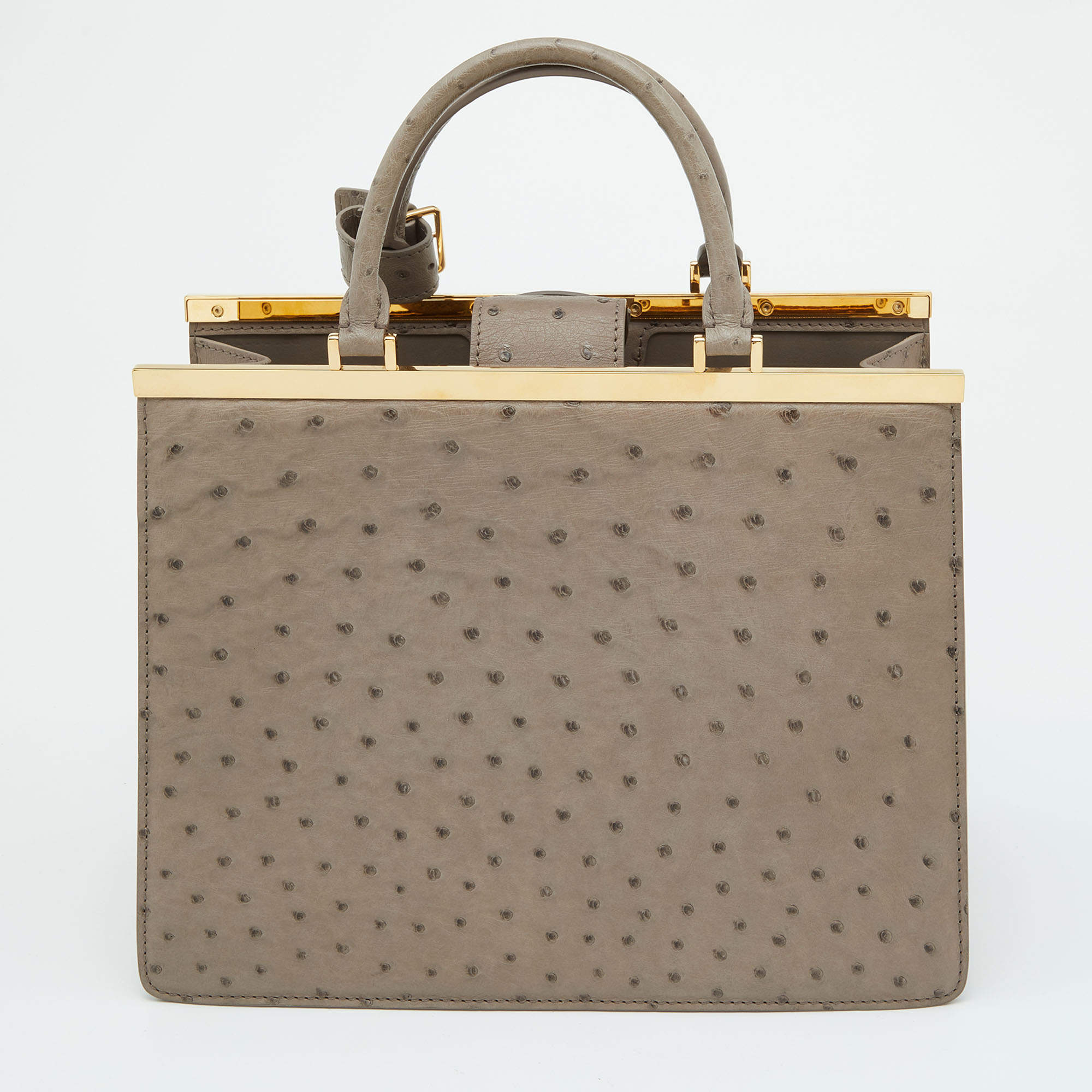 Louis Vuitton 2021 Rose Des Vents PM Ostrich - Green Handle Bags, Handbags  - LOU586723