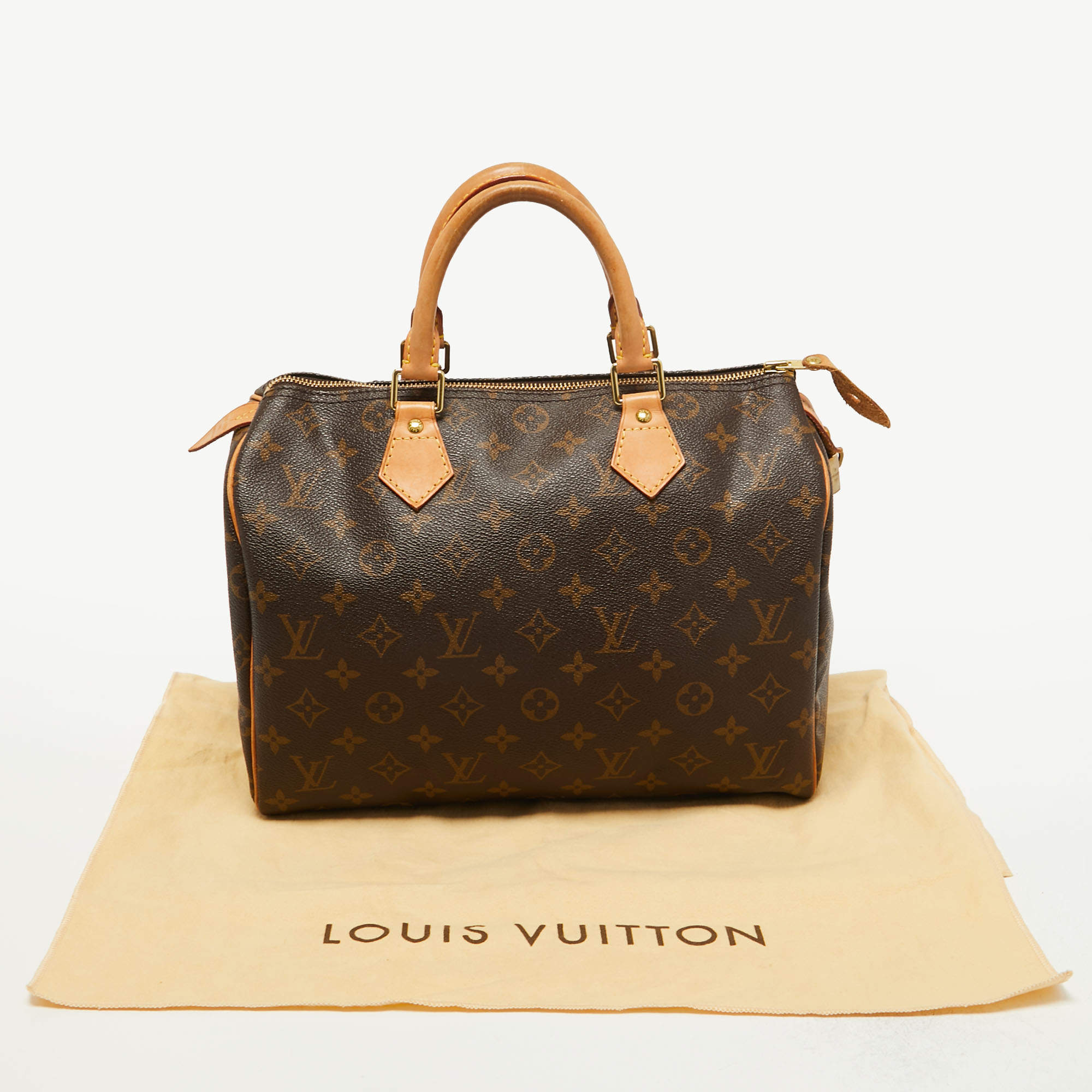 Louis Vuitton Monogram Canvas and Leopard Calfhair Limited Edition Stephen  Bag Louis Vuitton | The Luxury Closet