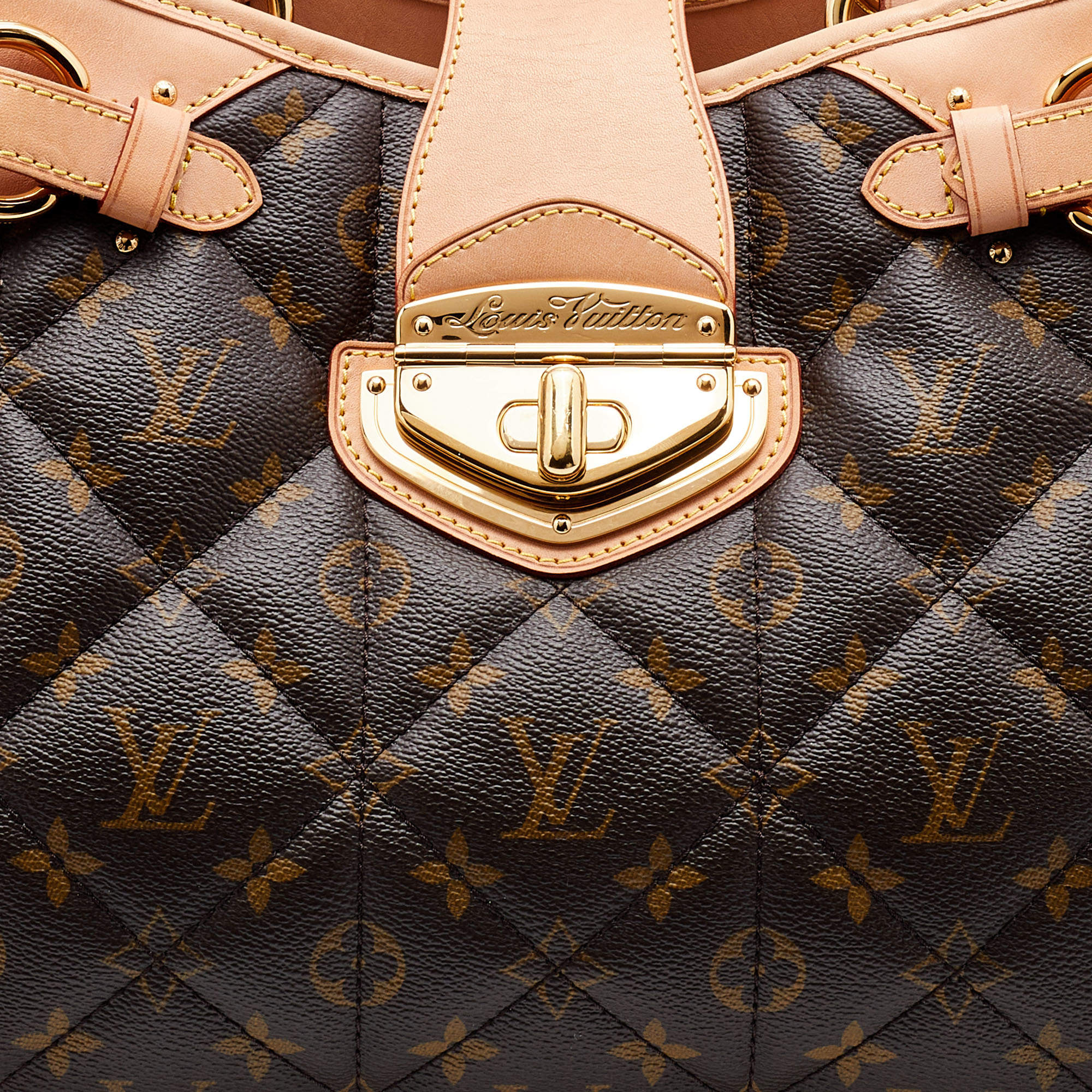 Louis Vuitton Monogram Etoile Bag Reference Guide - Spotted Fashion