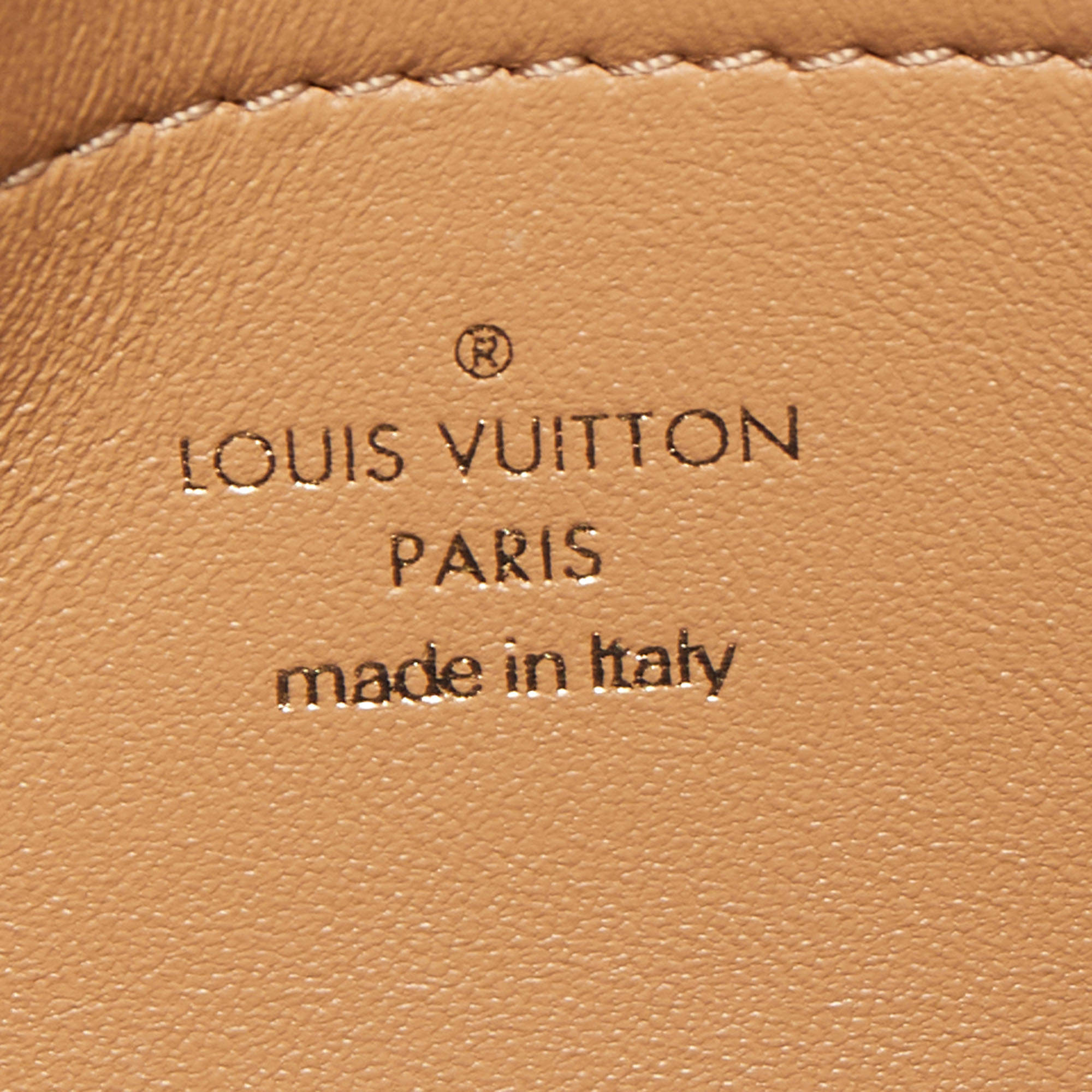 Louis Vuitton LV Coussin Camel color nuevo Crudo Cuero ref.339884