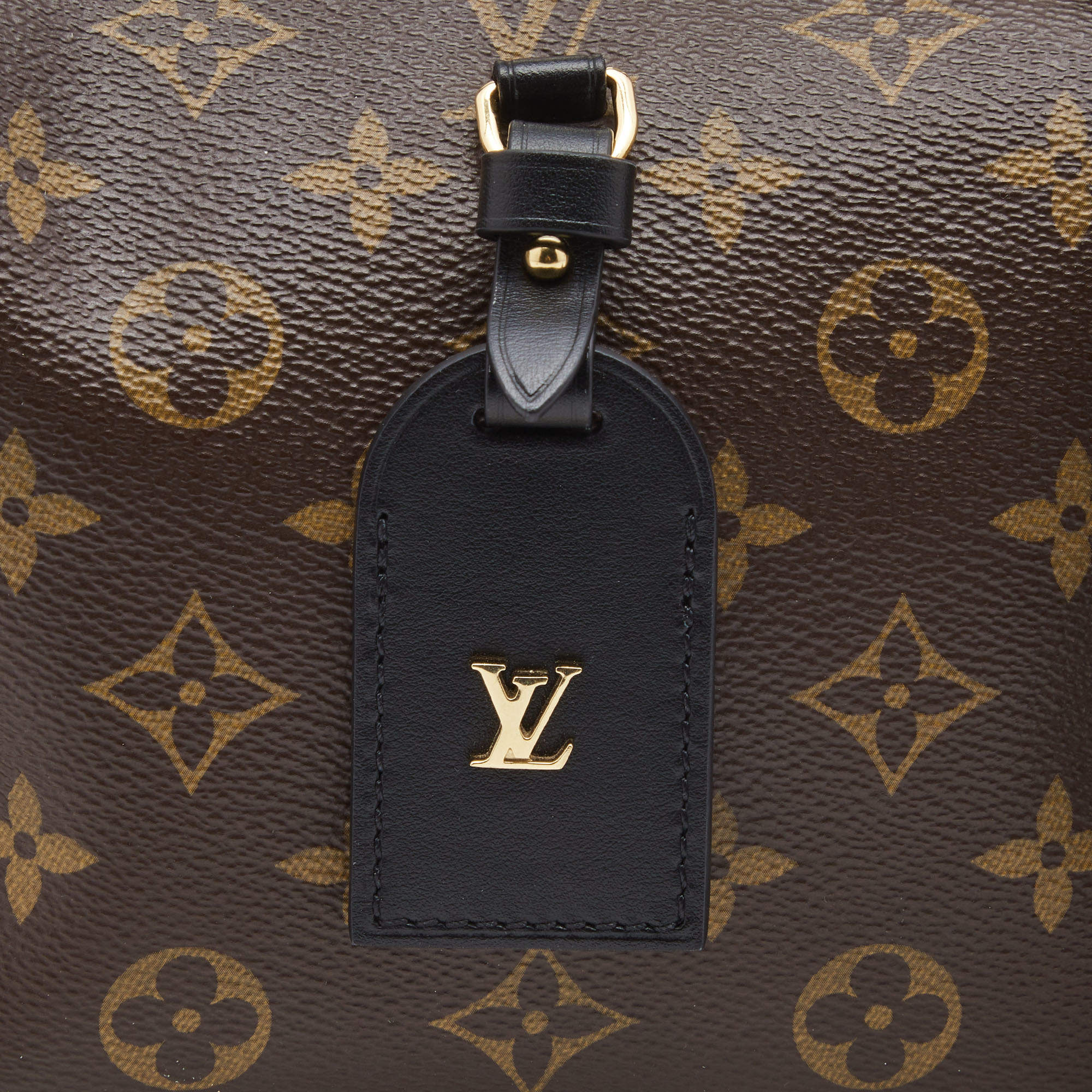 Petite malle souple cloth handbag Louis Vuitton Brown in Cloth - 24184371