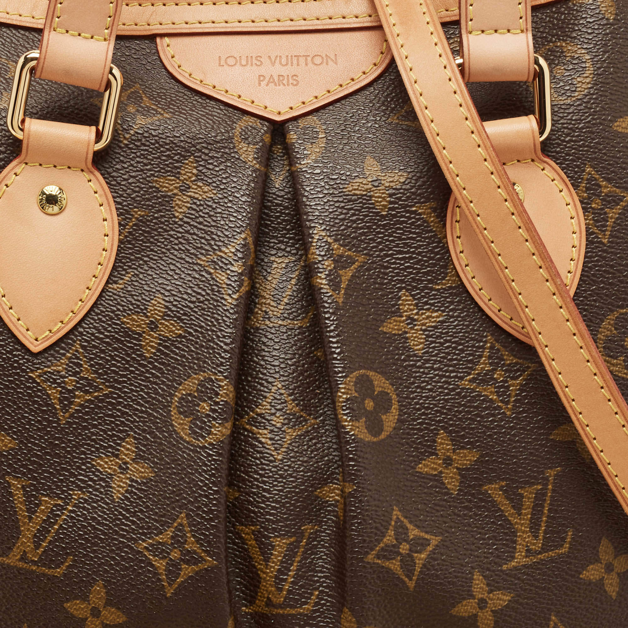 Louis Vuitton Monogram Canvas Palermo PM Bag (770) - ShopperBoard