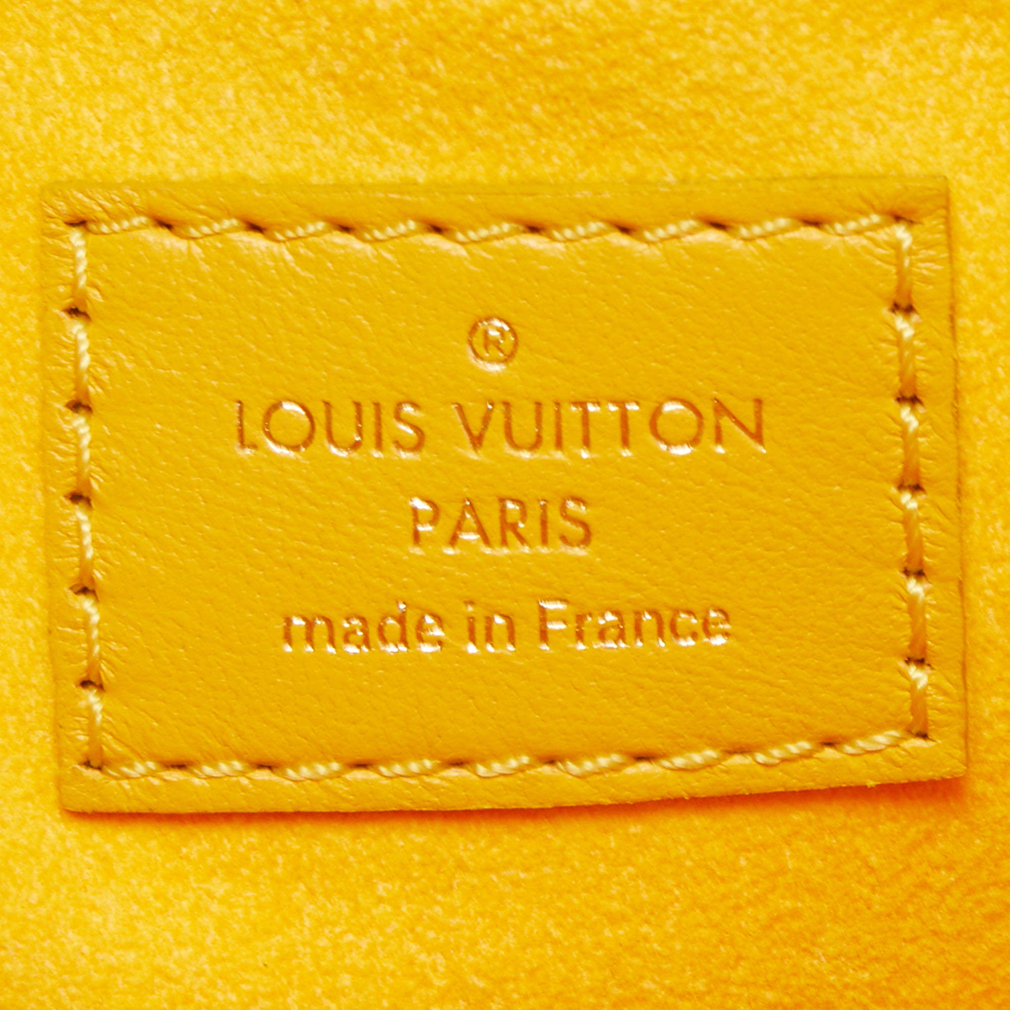 Louis Vuitton Sunflower Puffy Monogram Leather Coussin PM Bag