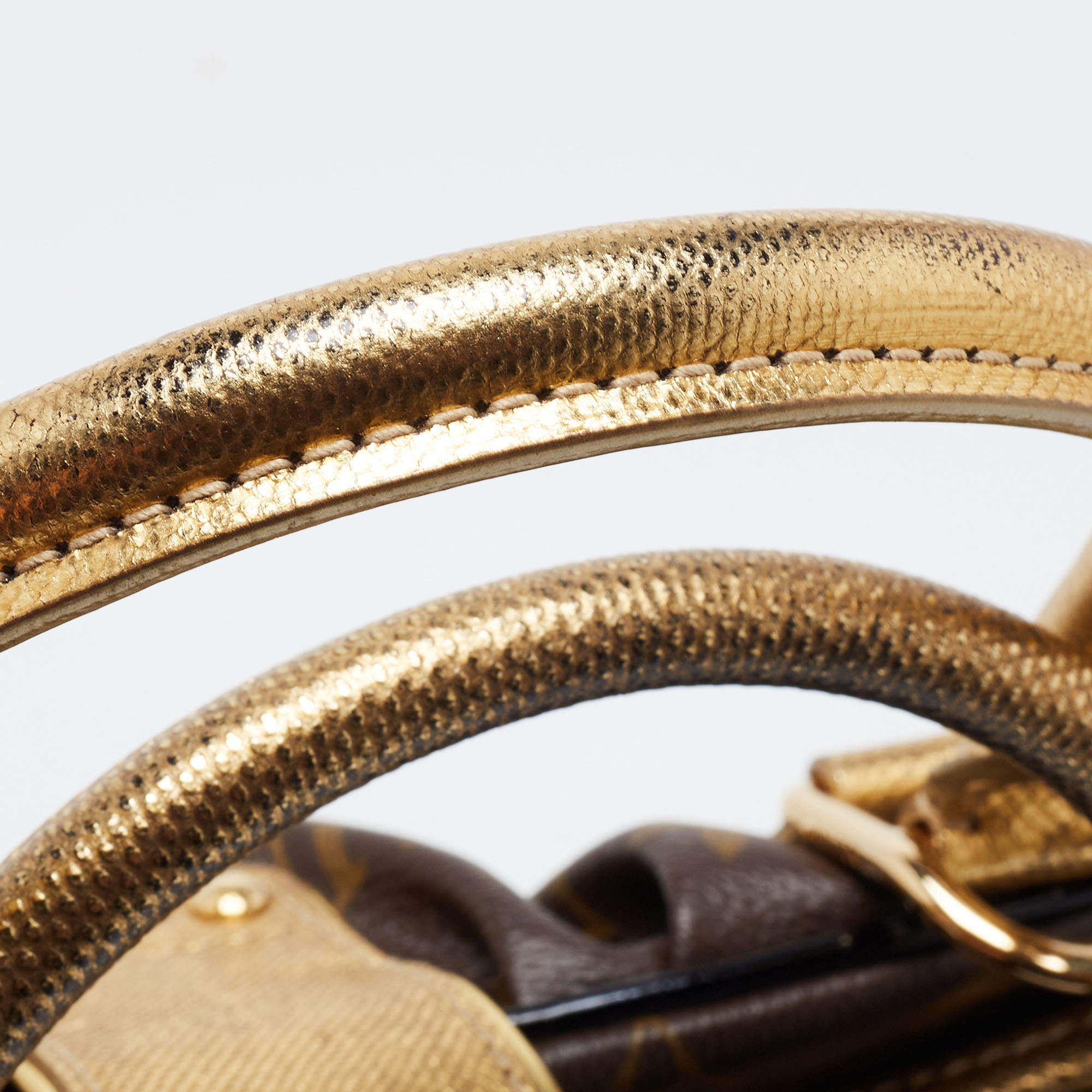 Louis Vuitton Limited Edition Adele Monogram Leopard Snake trim Should –  Debsluxurycloset