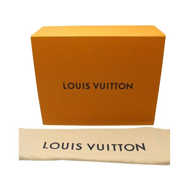 Louis Vuitton LV Pillow On The Go 2021 w/Tags - Neutrals Totes, Handbags -  LOU504420