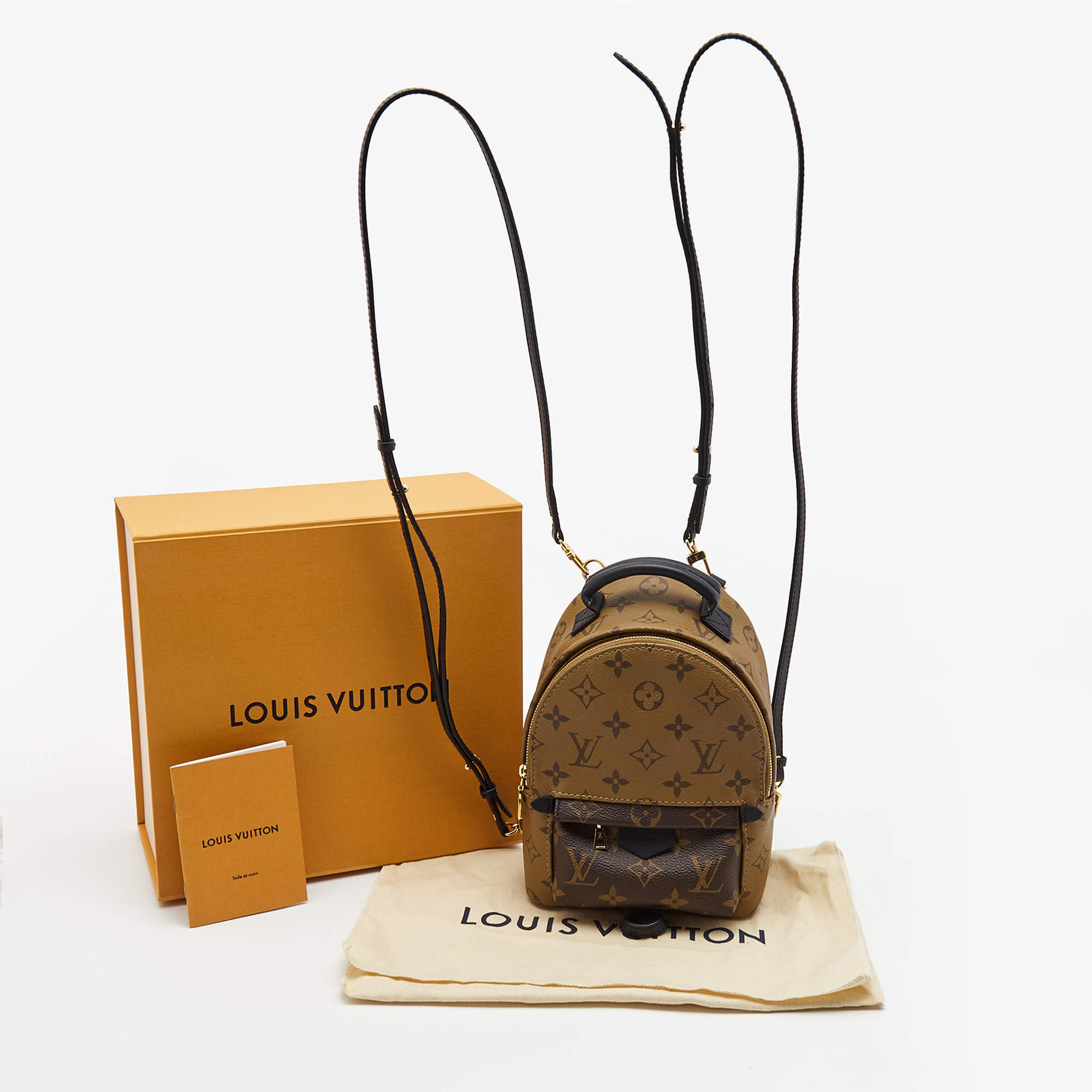 Louis Vuitton 2019 Monogram Reverse Palm Springs Mini Backpack w