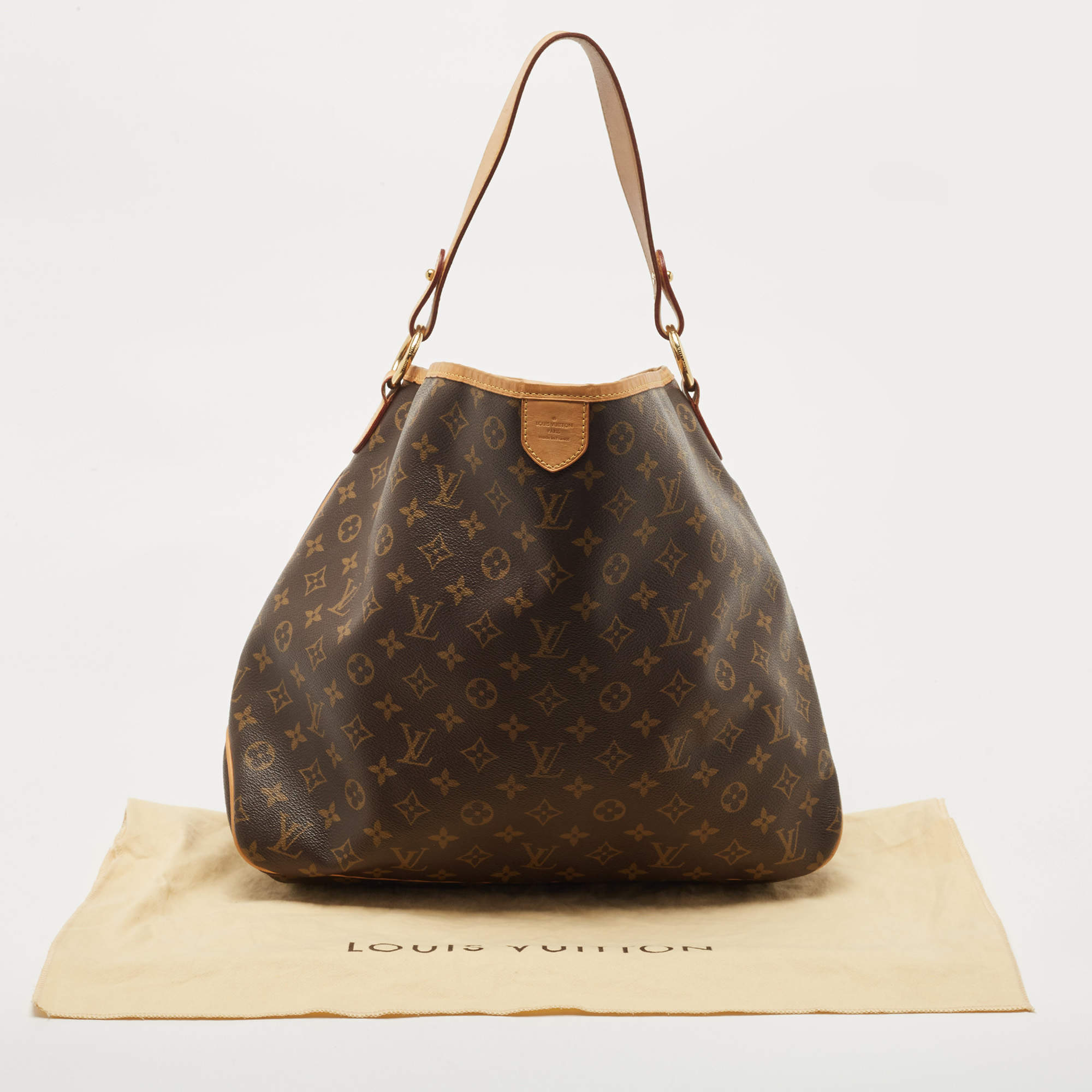 Louis Vuitton Monogram Canvas Delightful MM Bag Louis Vuitton TLC