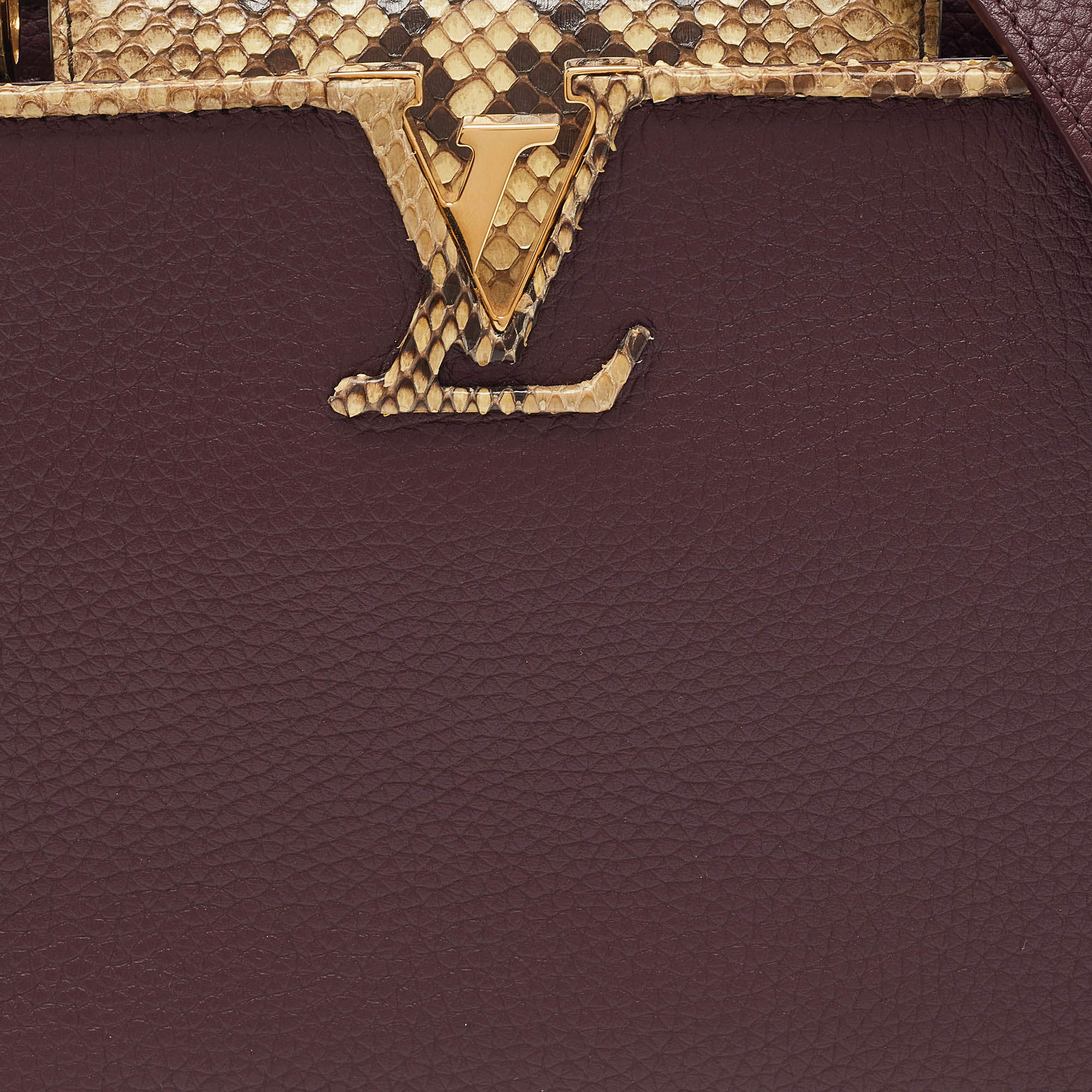 Capucines Louis Vuitton Capucine BB Black Leather Python ref.797083 - Joli  Closet