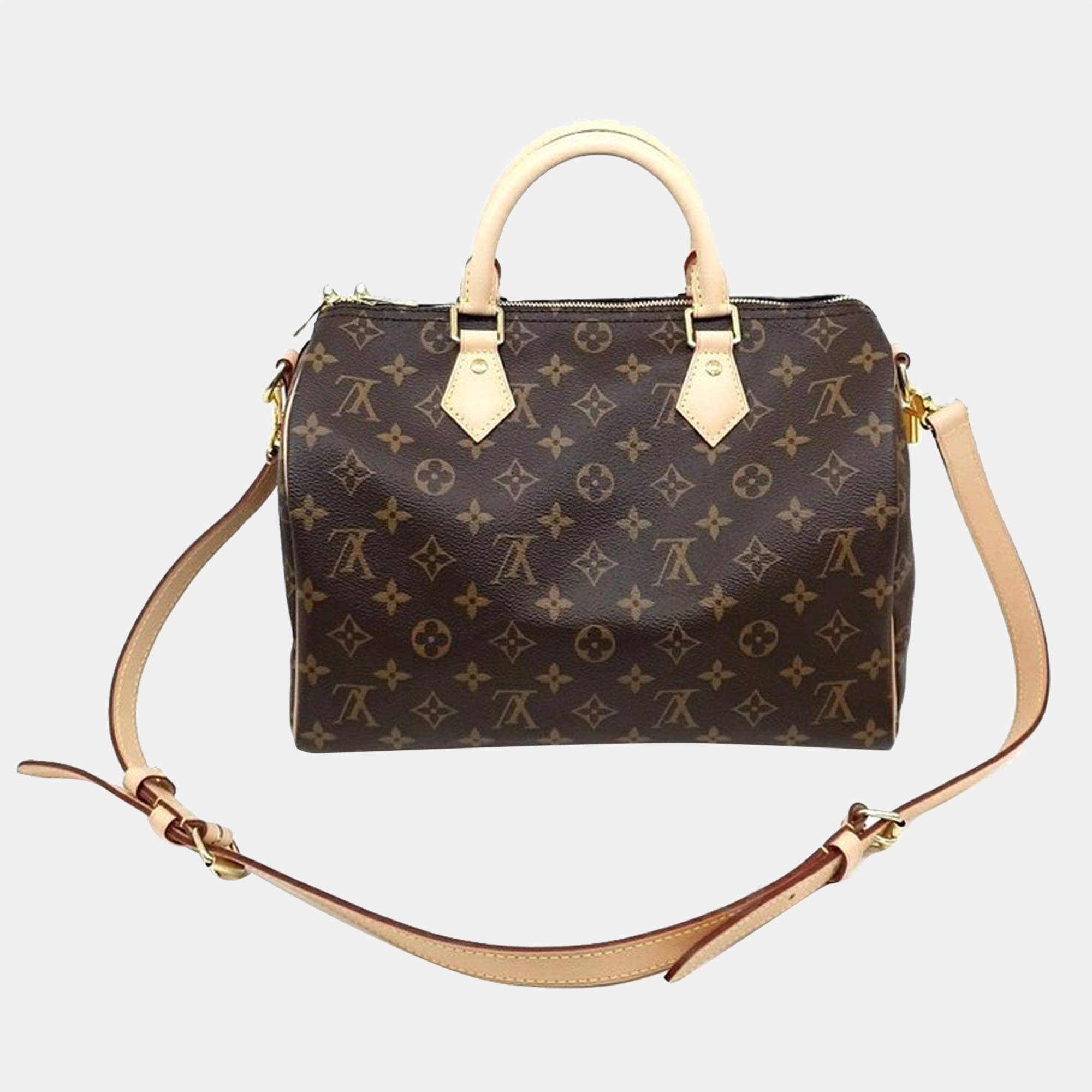 LOUIS VUITTON Damier Ebene Speedy 25 - The Luxury Pop