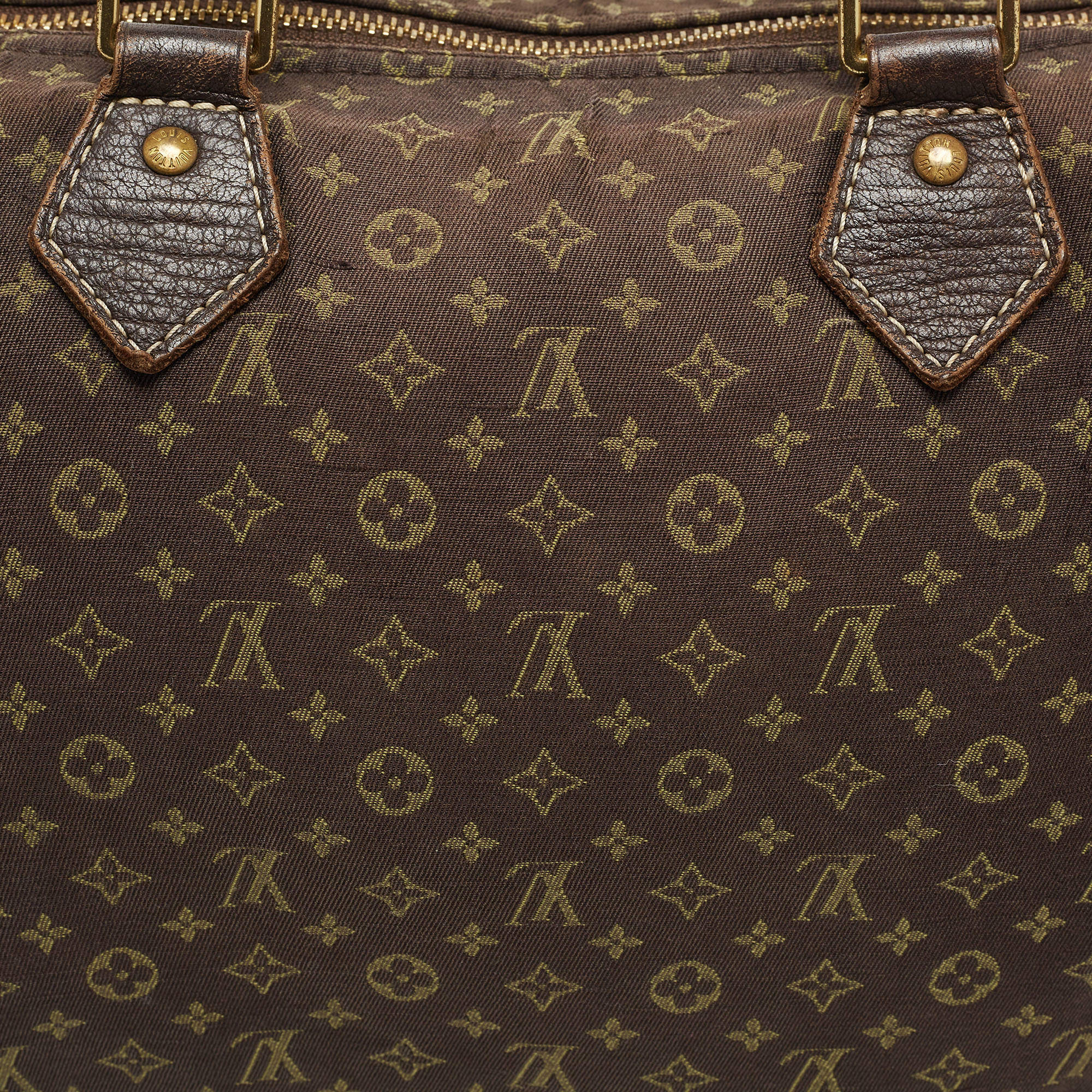 Louis Vuitton Fusain Monogram Mini Lin Canvas Speedy 30 Bag Louis