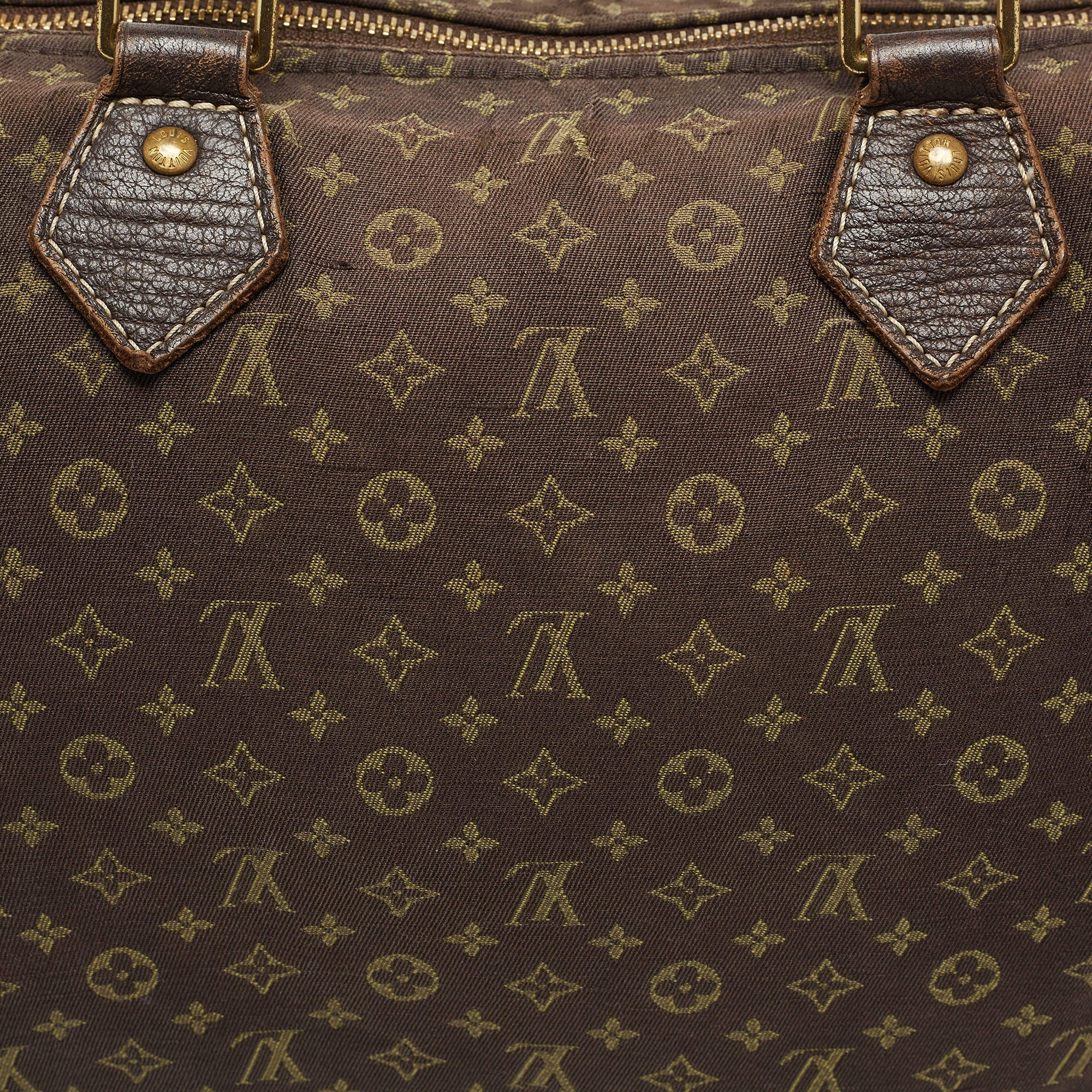 Louis Vuitton Fusain Monogram Mini Lin Canvas Speedy 30 Bag Louis Vuitton