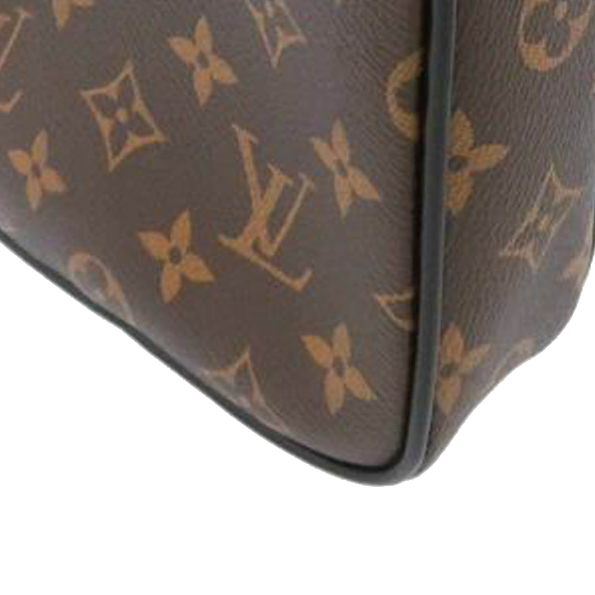 Louis Vuitton Brown Monogram Macassar Christopher Wearable Wallet Louis  Vuitton | The Luxury Closet