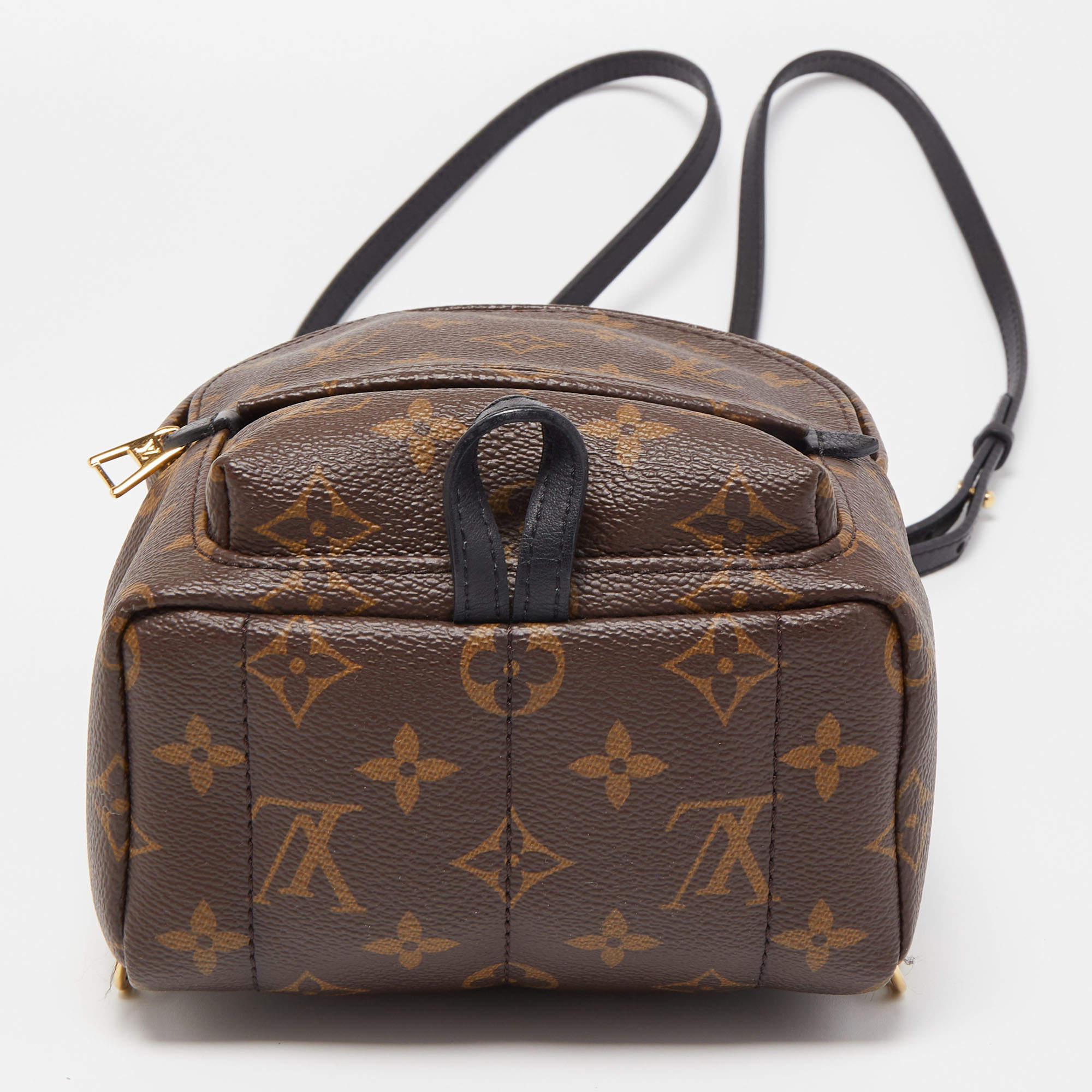 Authentic vs fake Louis Vuitton Palm Springs Mini Backpack (Real