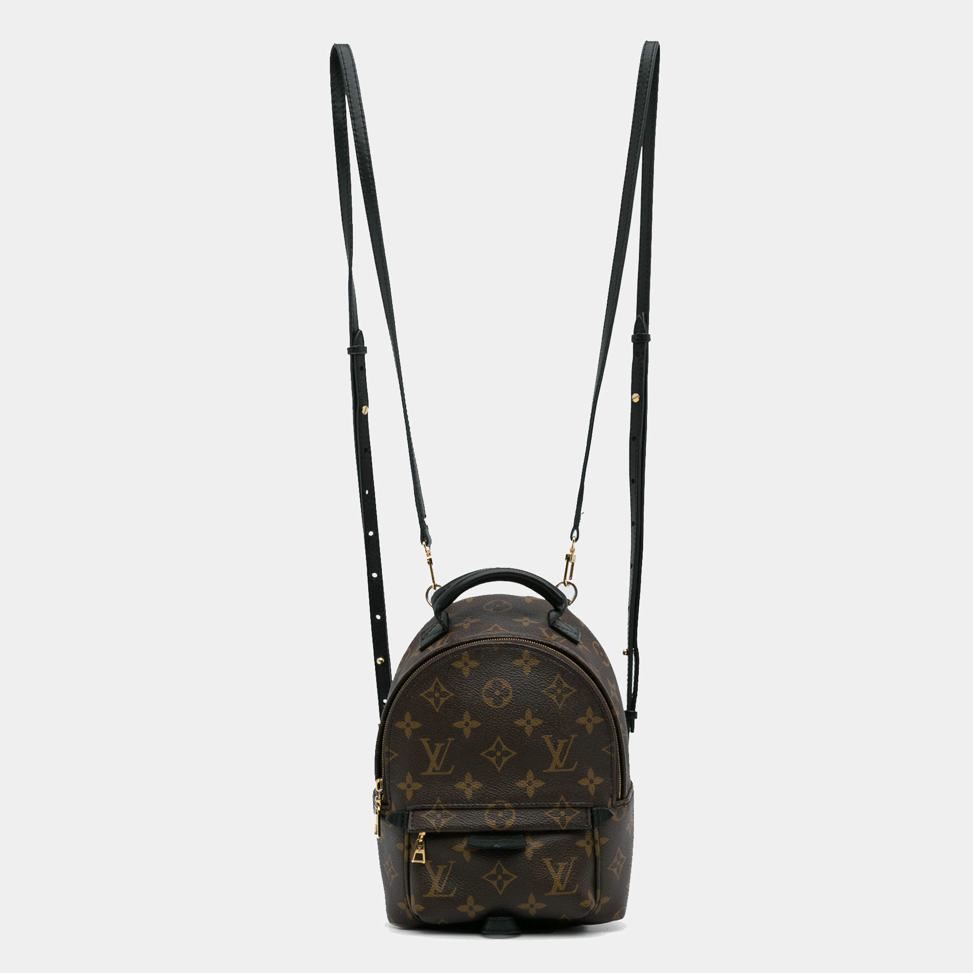 Louis Vuitton Palm Springs Mini Backpack
