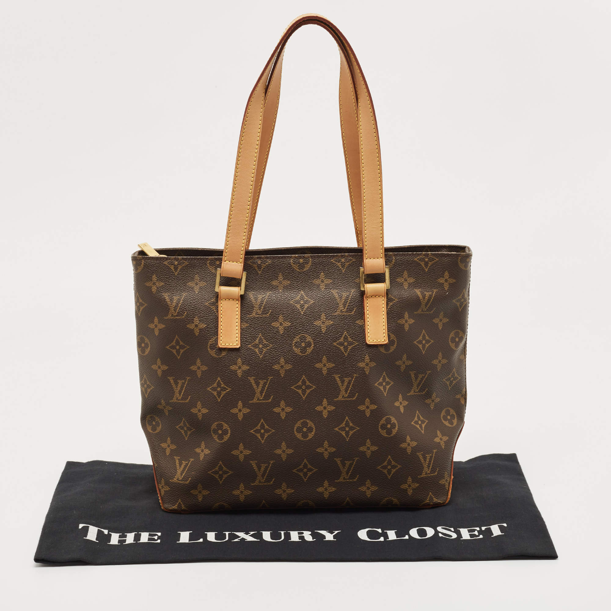 Louis Vuitton Monogram Vinyl Limited Edition Ambre PM Bag Louis Vuitton |  The Luxury Closet