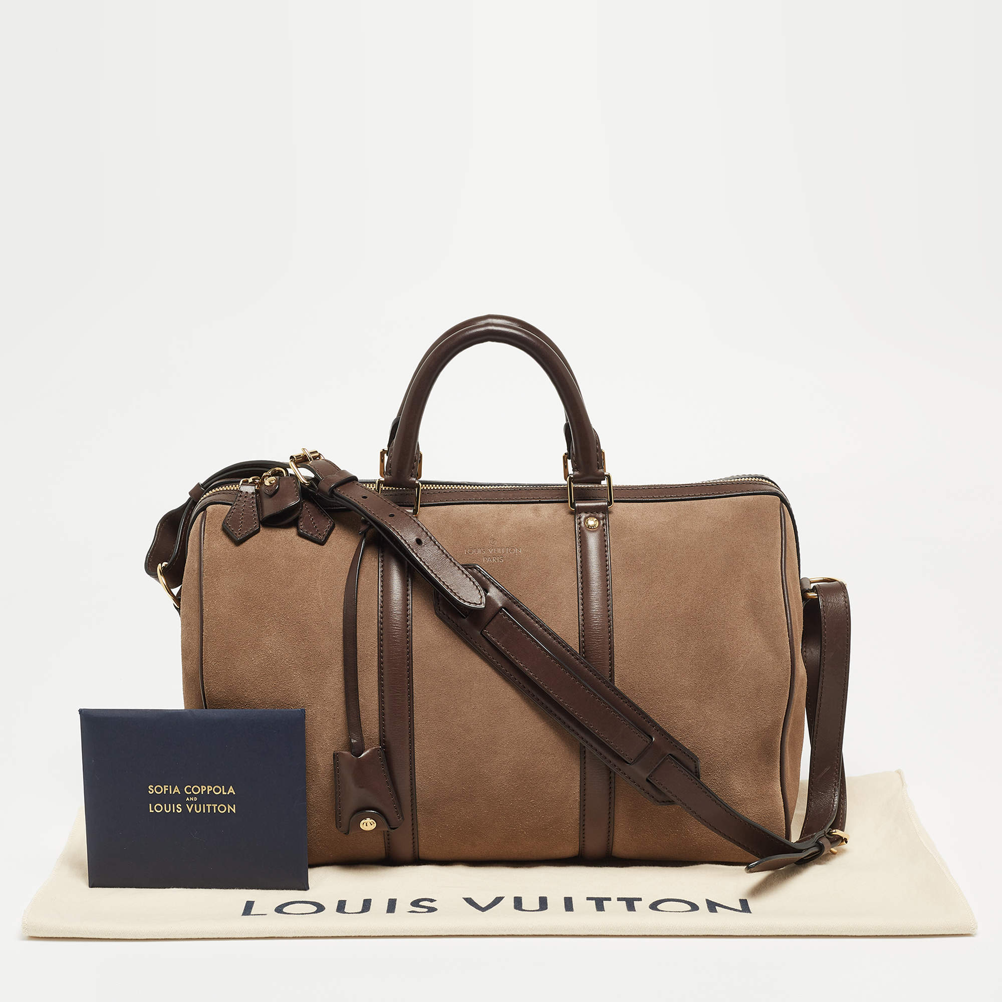 LOUIS VUITTON Sofia Coppola Monogram Clutch Bag