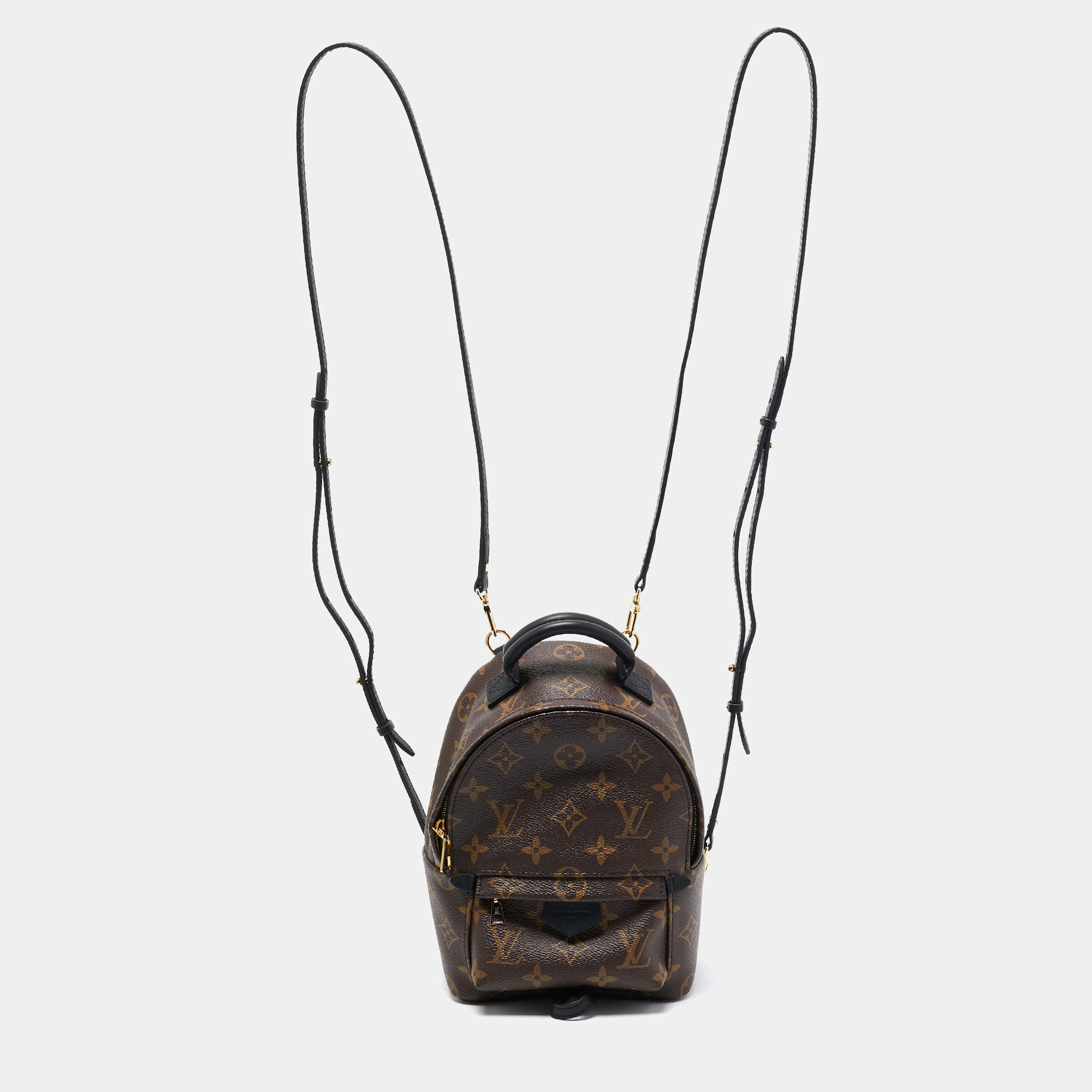 Pre Owned Louis Vuitton Monogram Canvas Mini Palm Springs Backpack