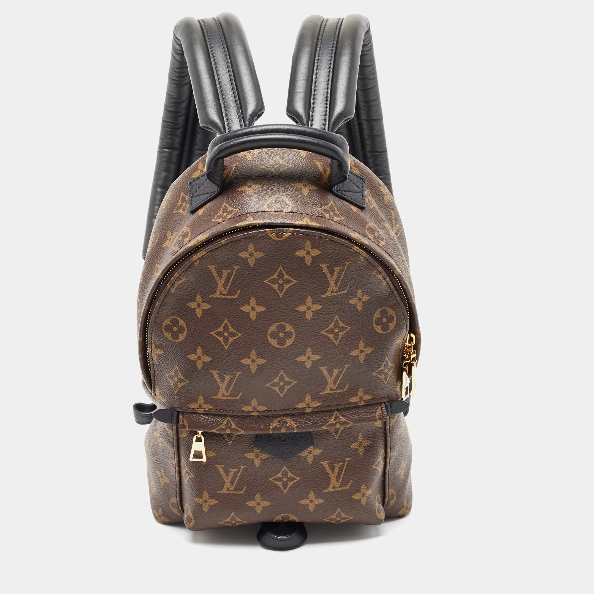 مملوكة مسبقًا Louis Vuitton Monogram Canvas Palm Springs PM Backpack