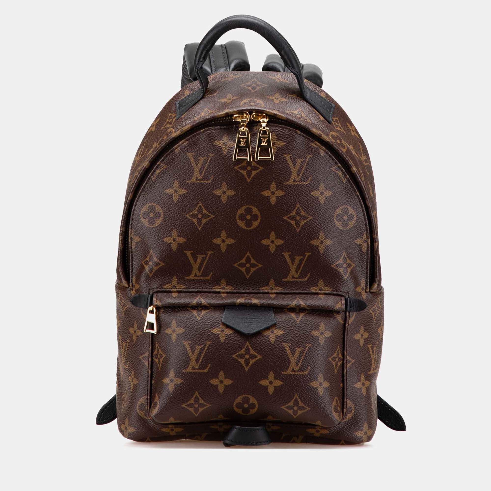 Louis Vuitton Monogram Palm Springs PM