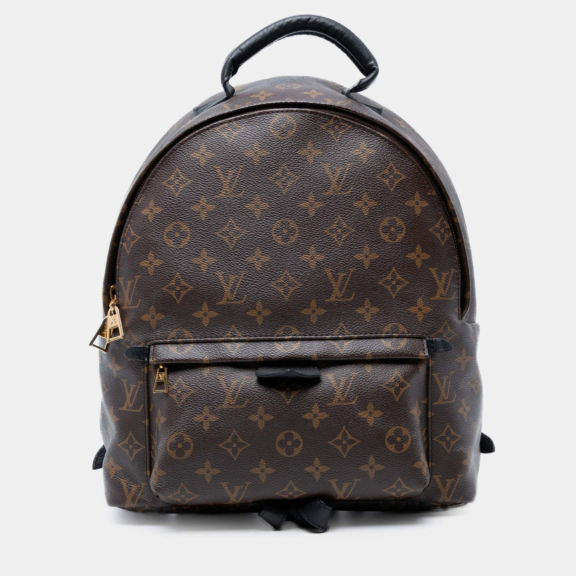 Pre Owned Louis Vuitton Palm Springs MM Brown Monogram Canvas Backpack